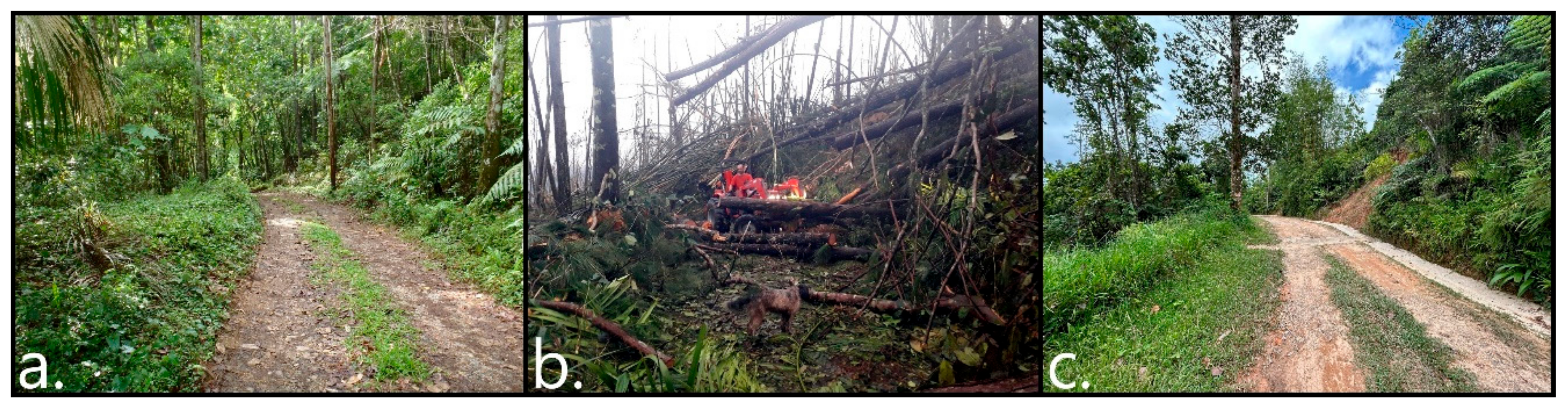 Preprints 159010 g016