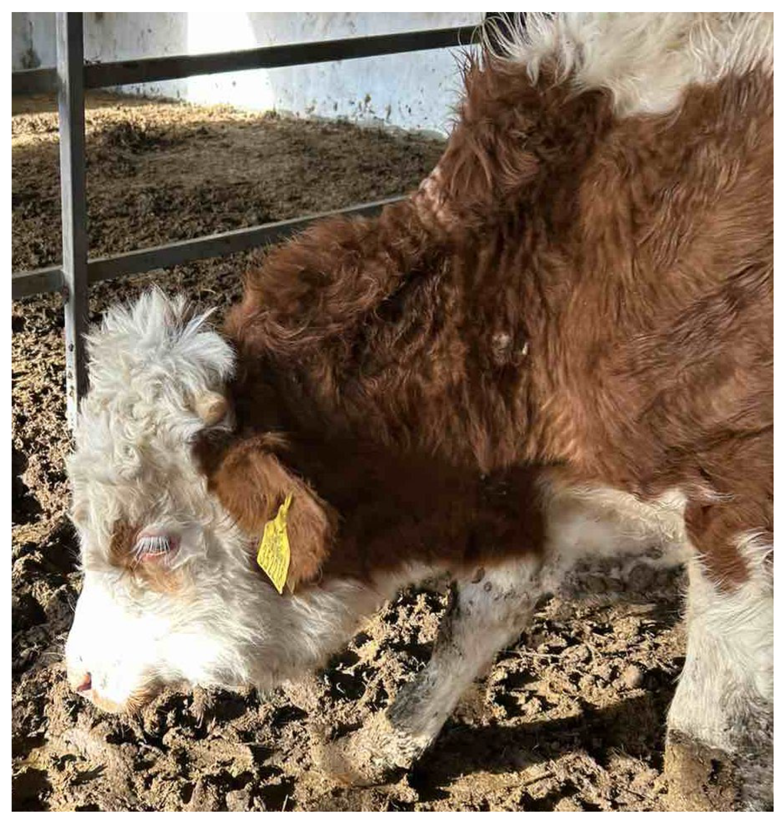 Preprints 187234 g001