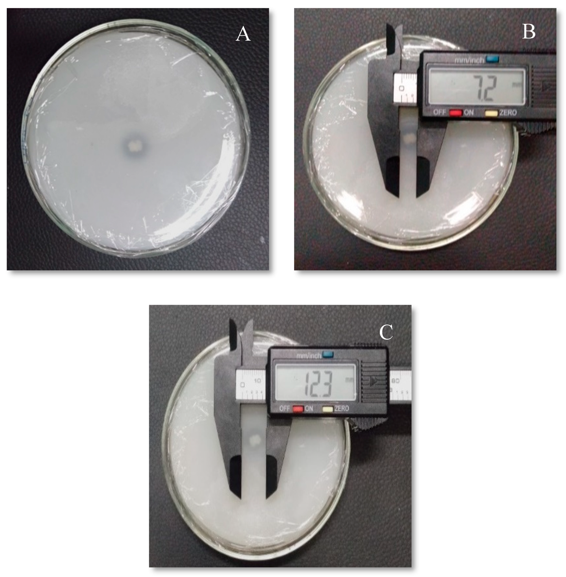 Preprints 138765 g002