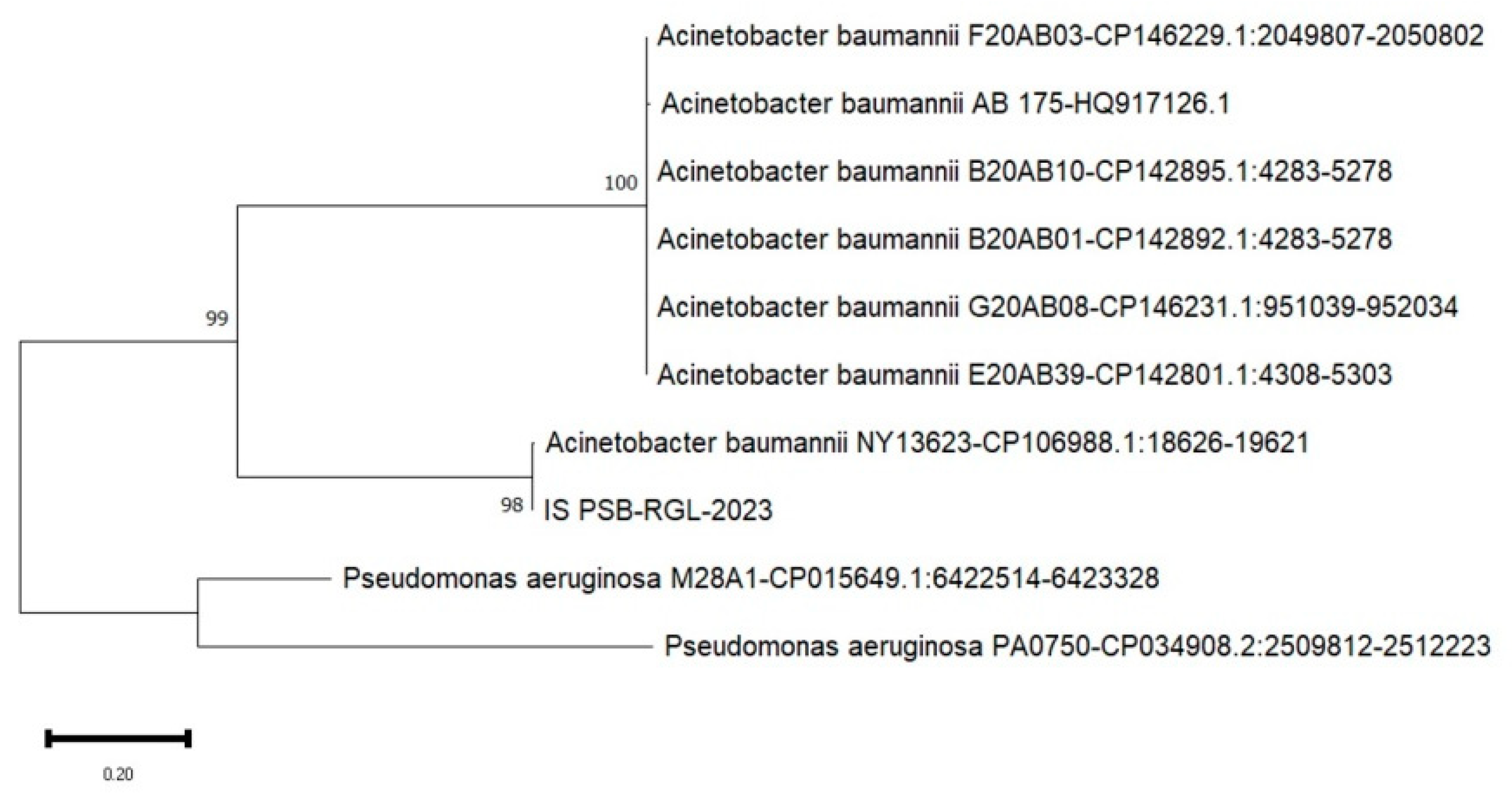 Preprints 138765 g004