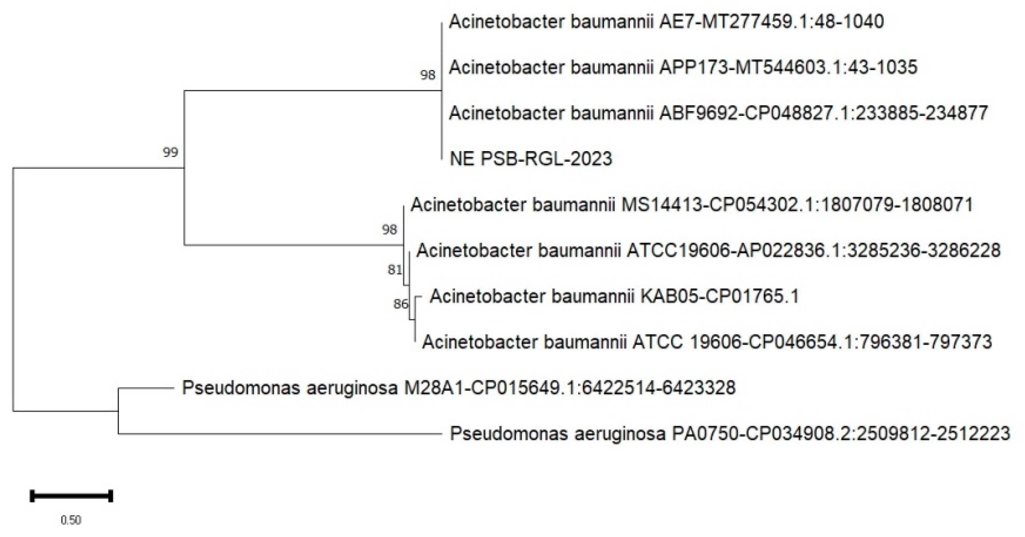 Preprints 138765 g005