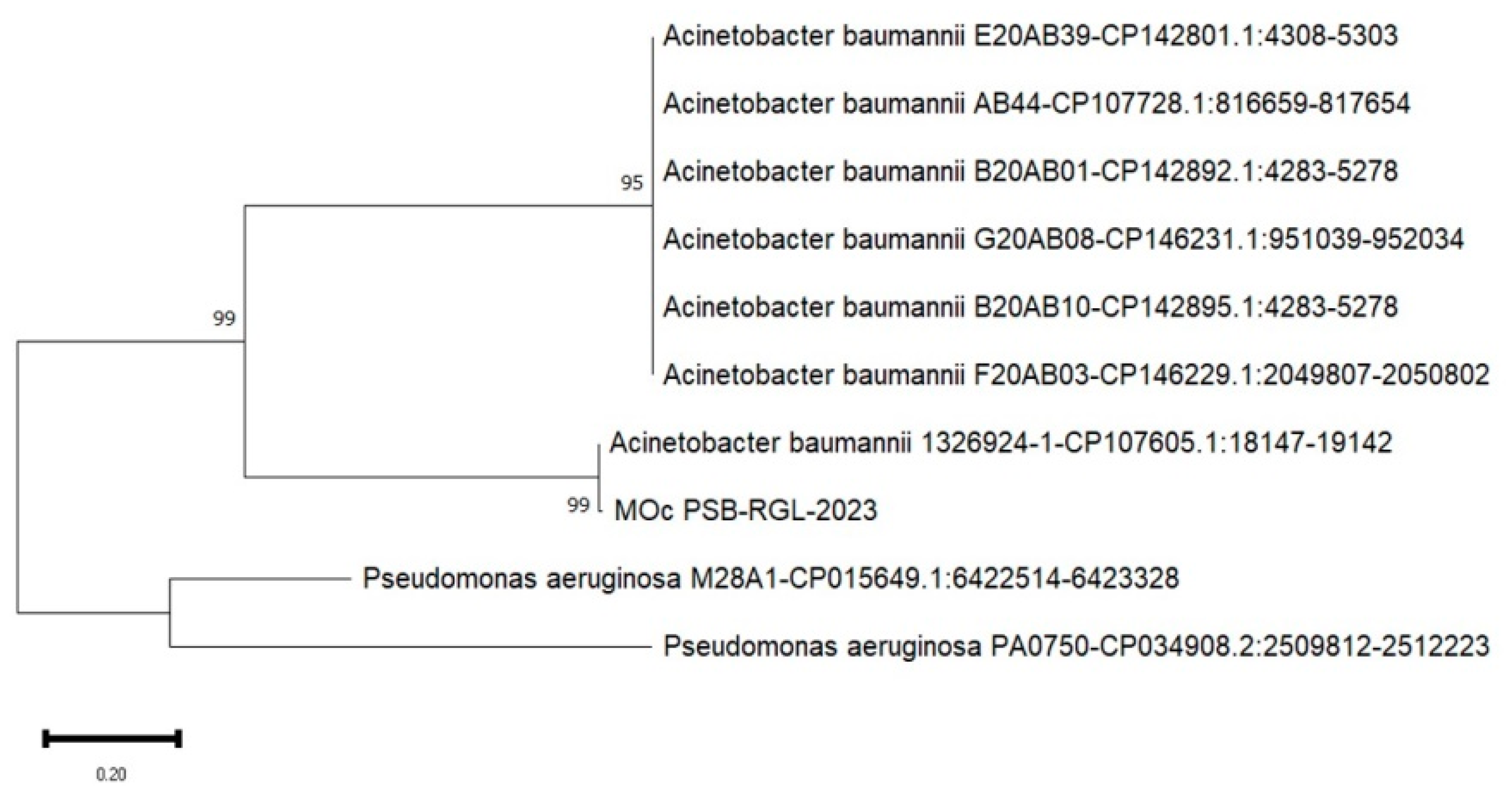Preprints 138765 g006