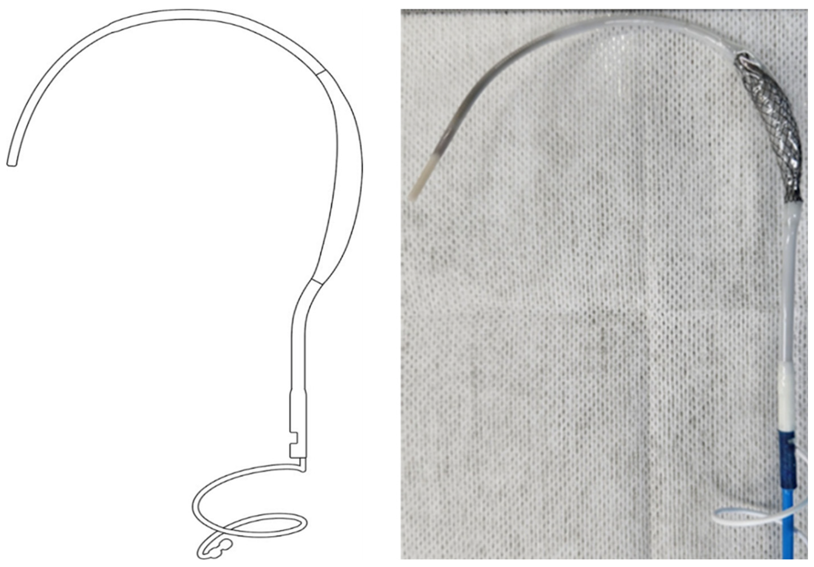 Preprints 191048 g001