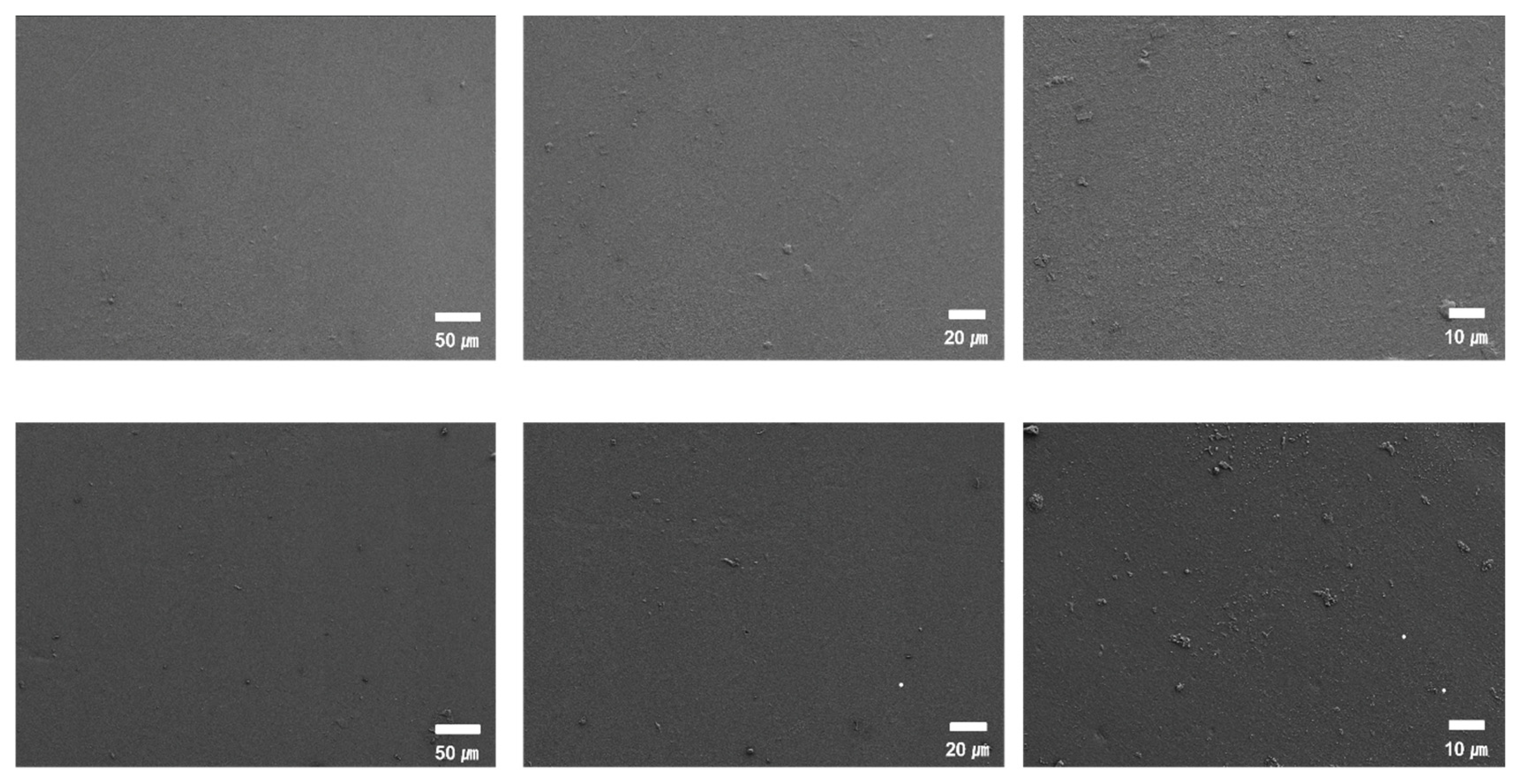 Preprints 191048 g003