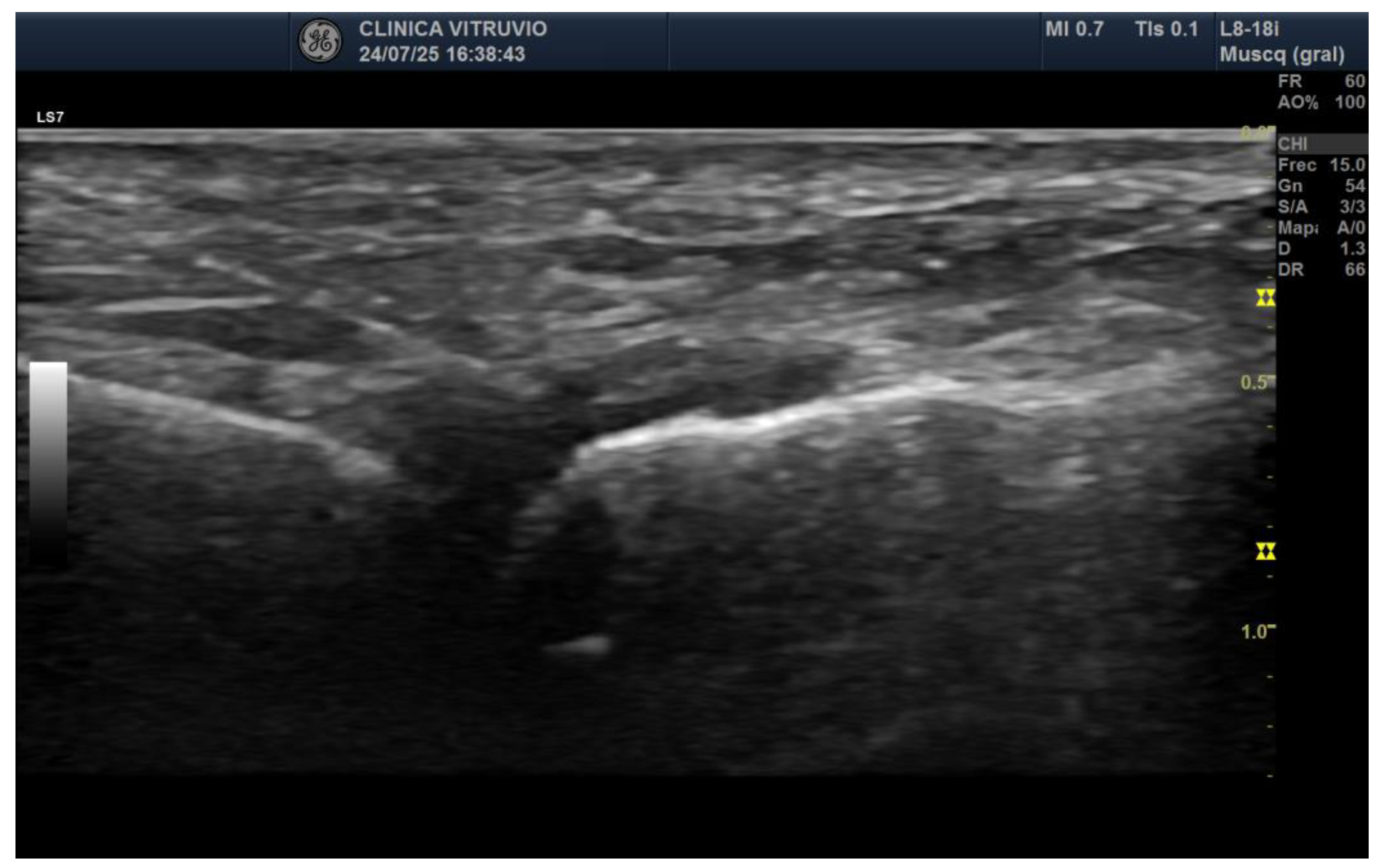 Preprints 170312 g001