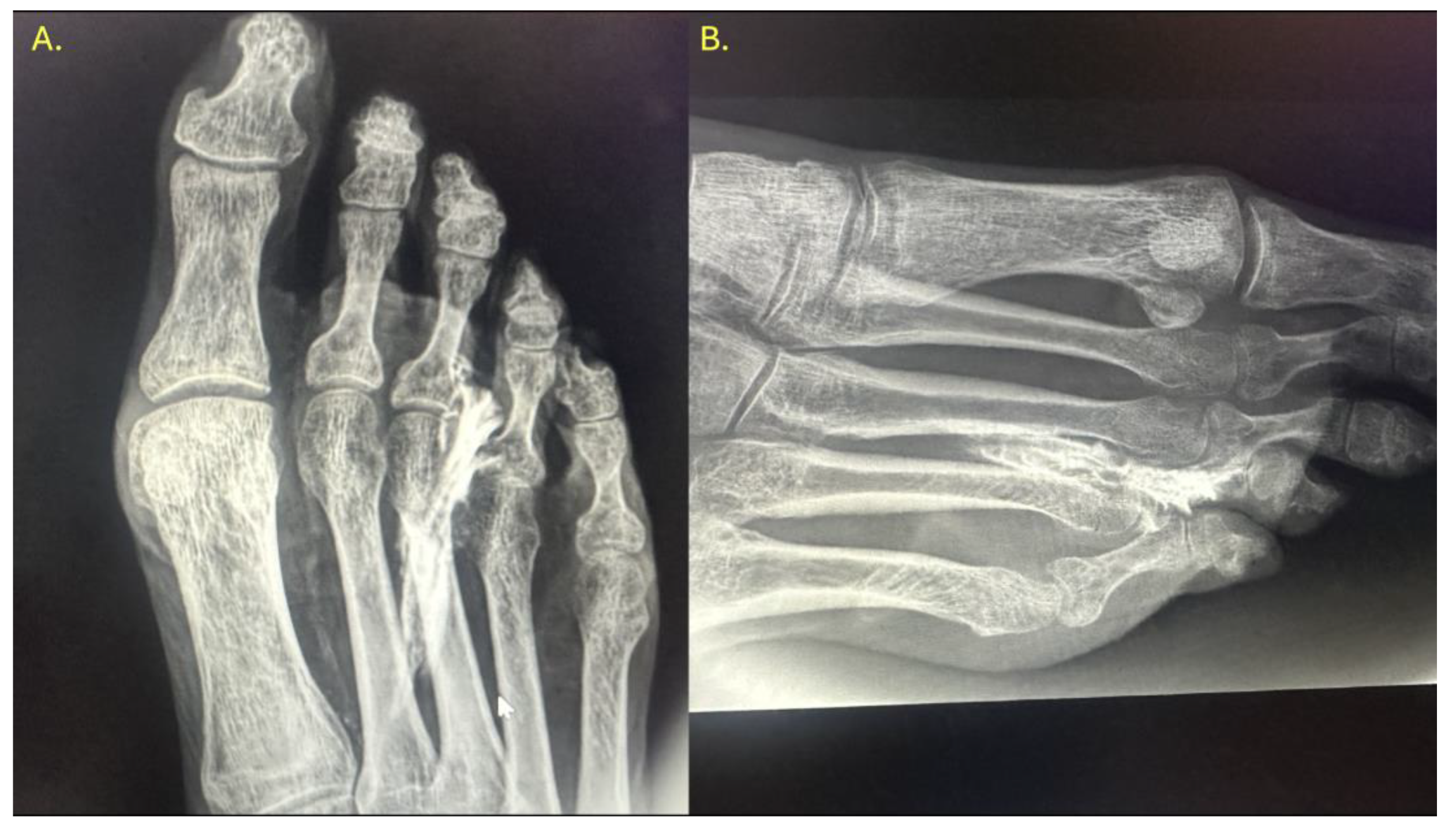 Preprints 170312 g003