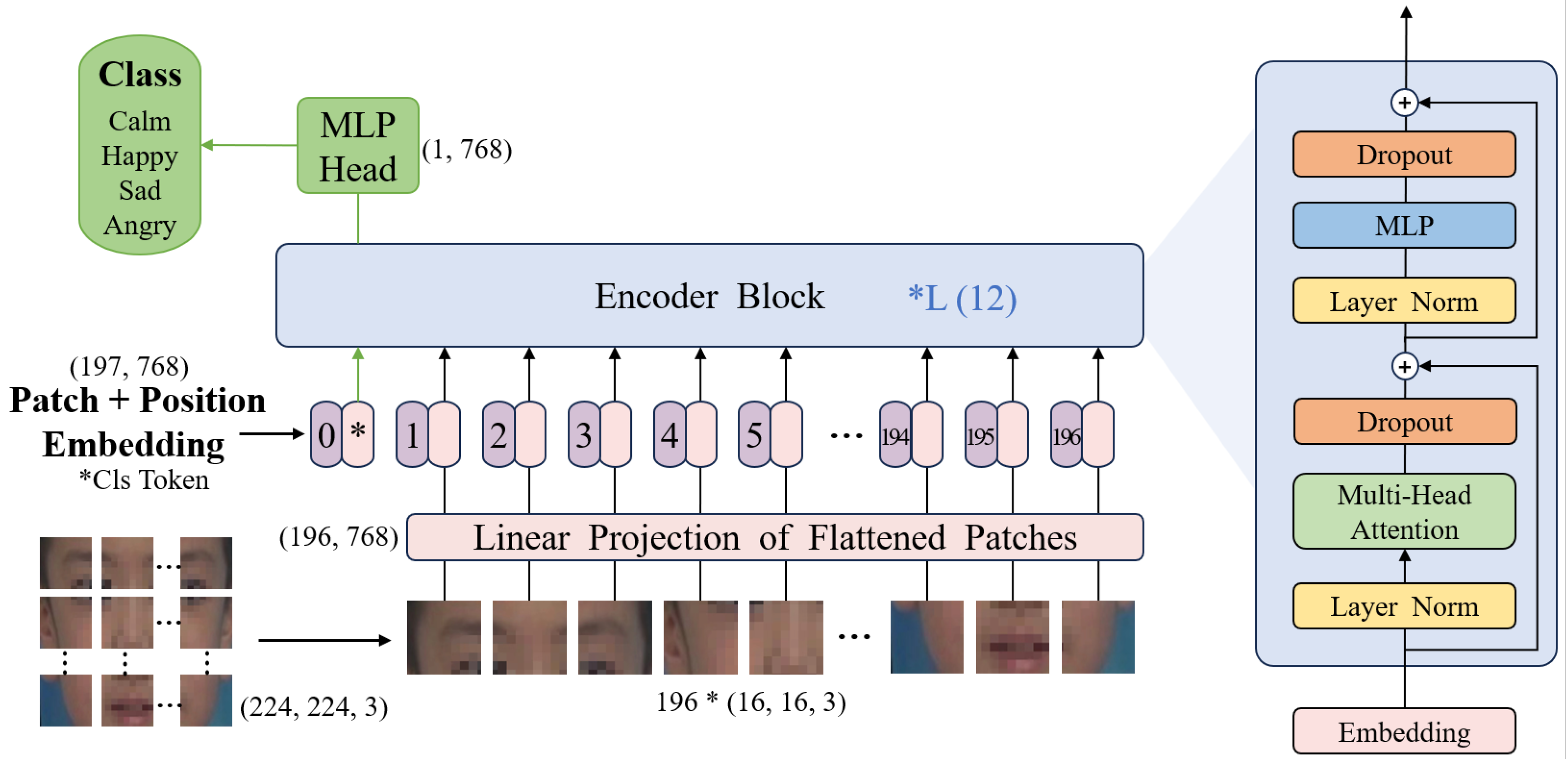 Preprints 149919 g006
