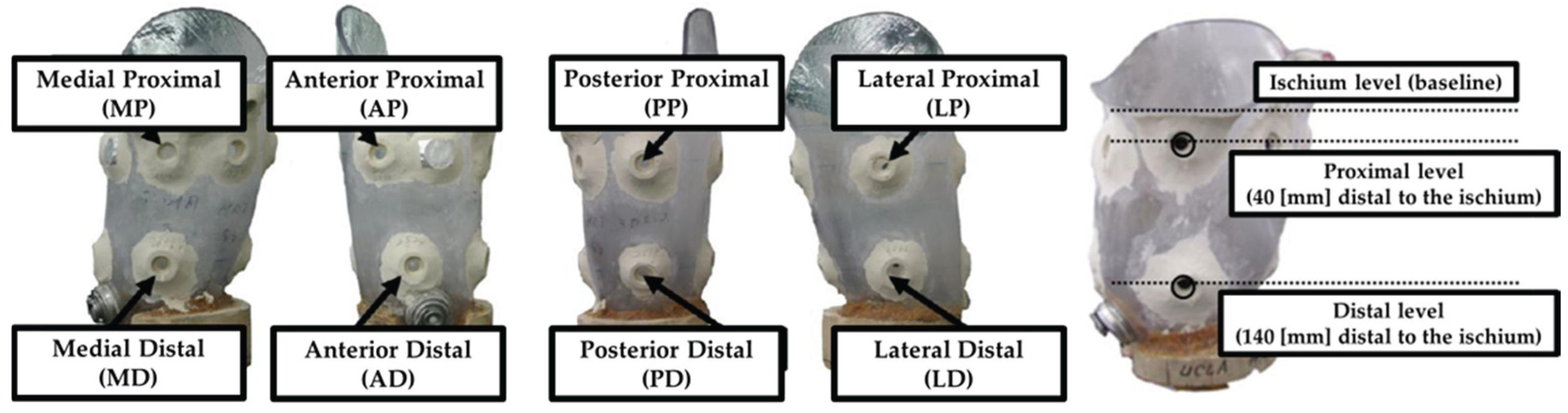 Preprints 189076 g002