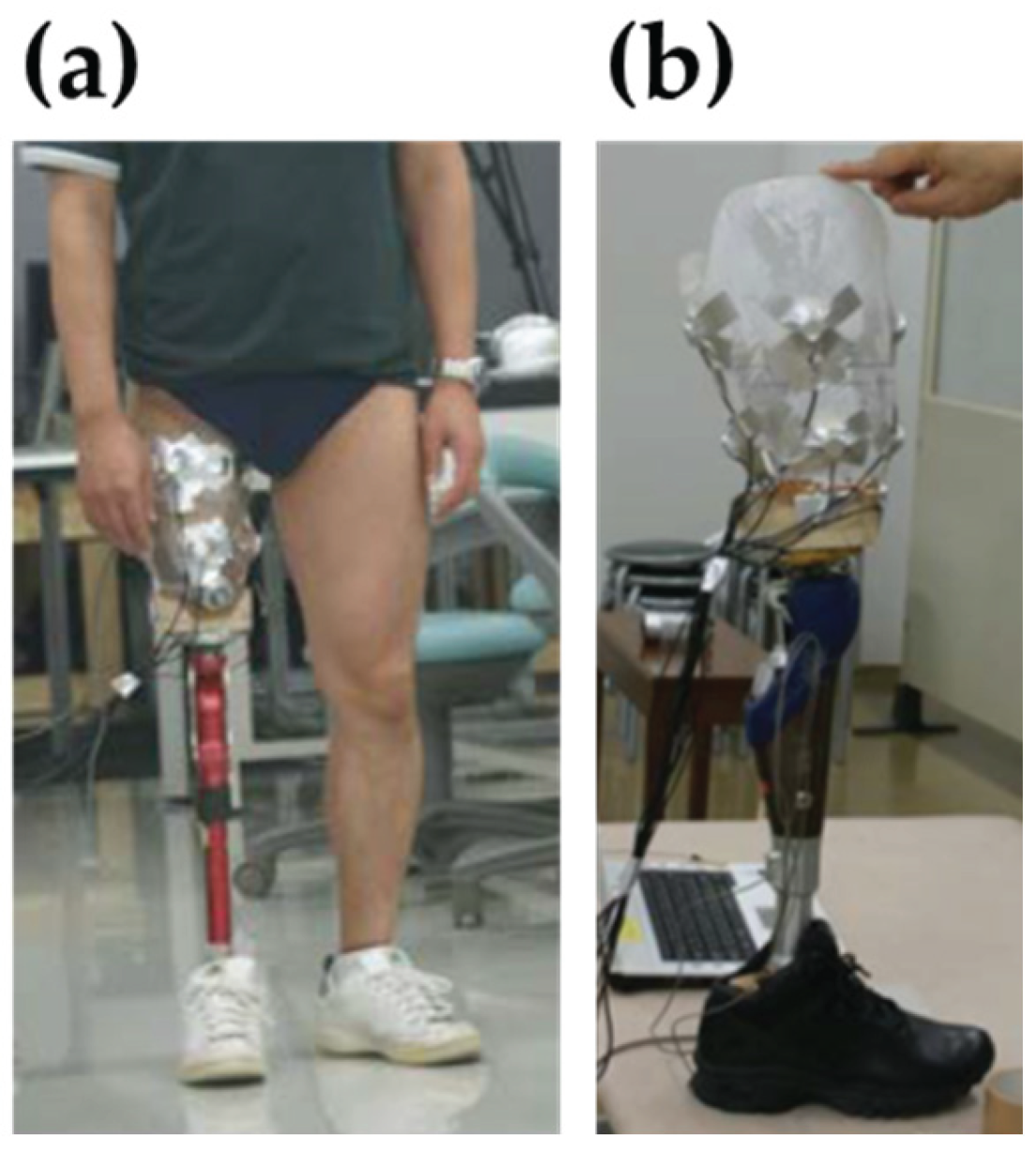 Preprints 189076 g003