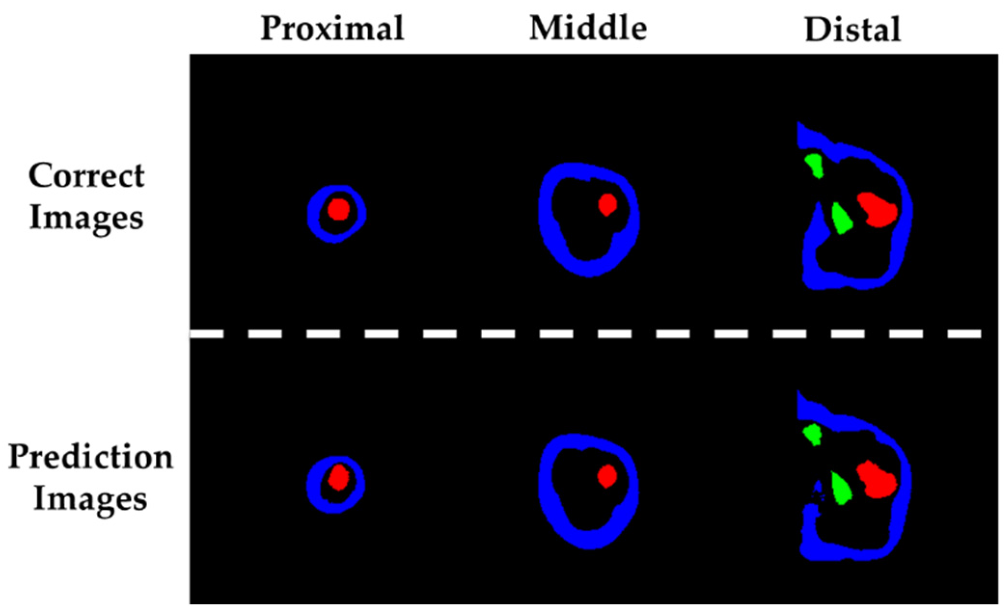 Preprints 189076 g005