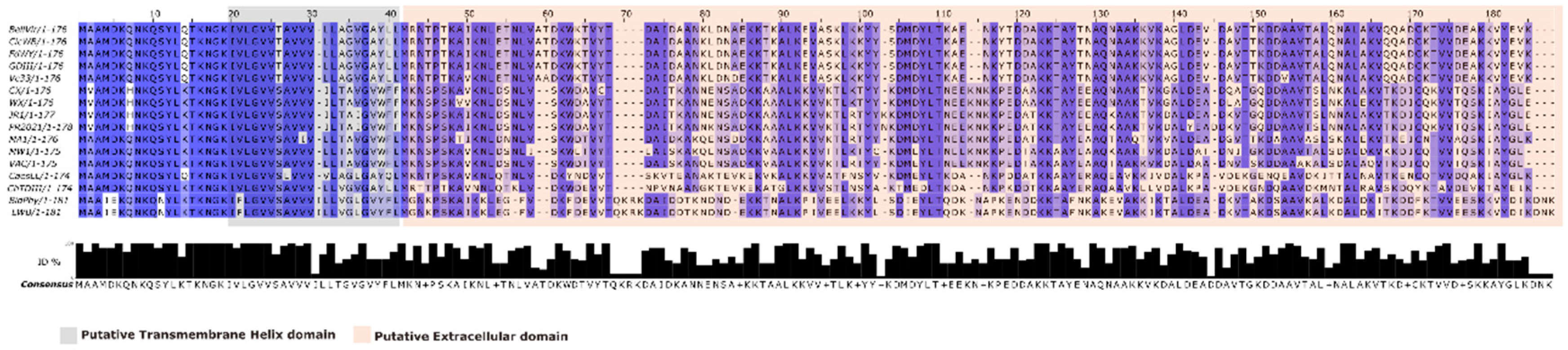 Preprints 153987 g001