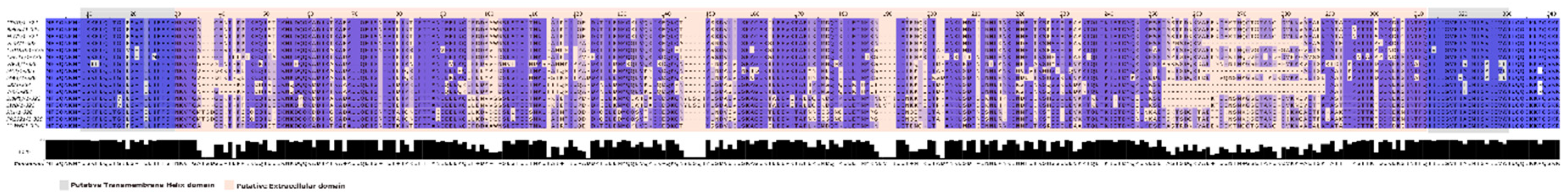 Preprints 153987 g002