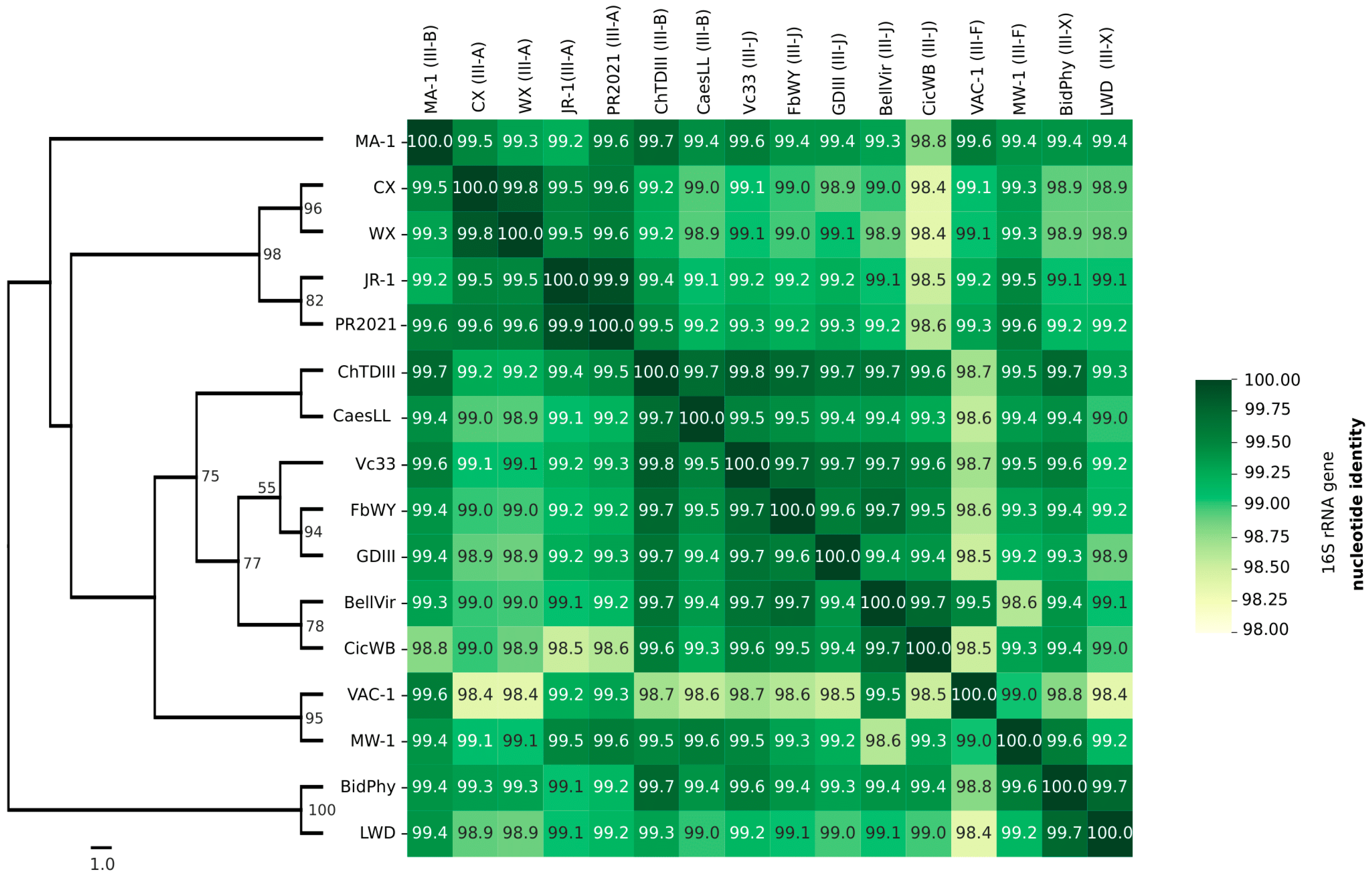 Preprints 153987 g003