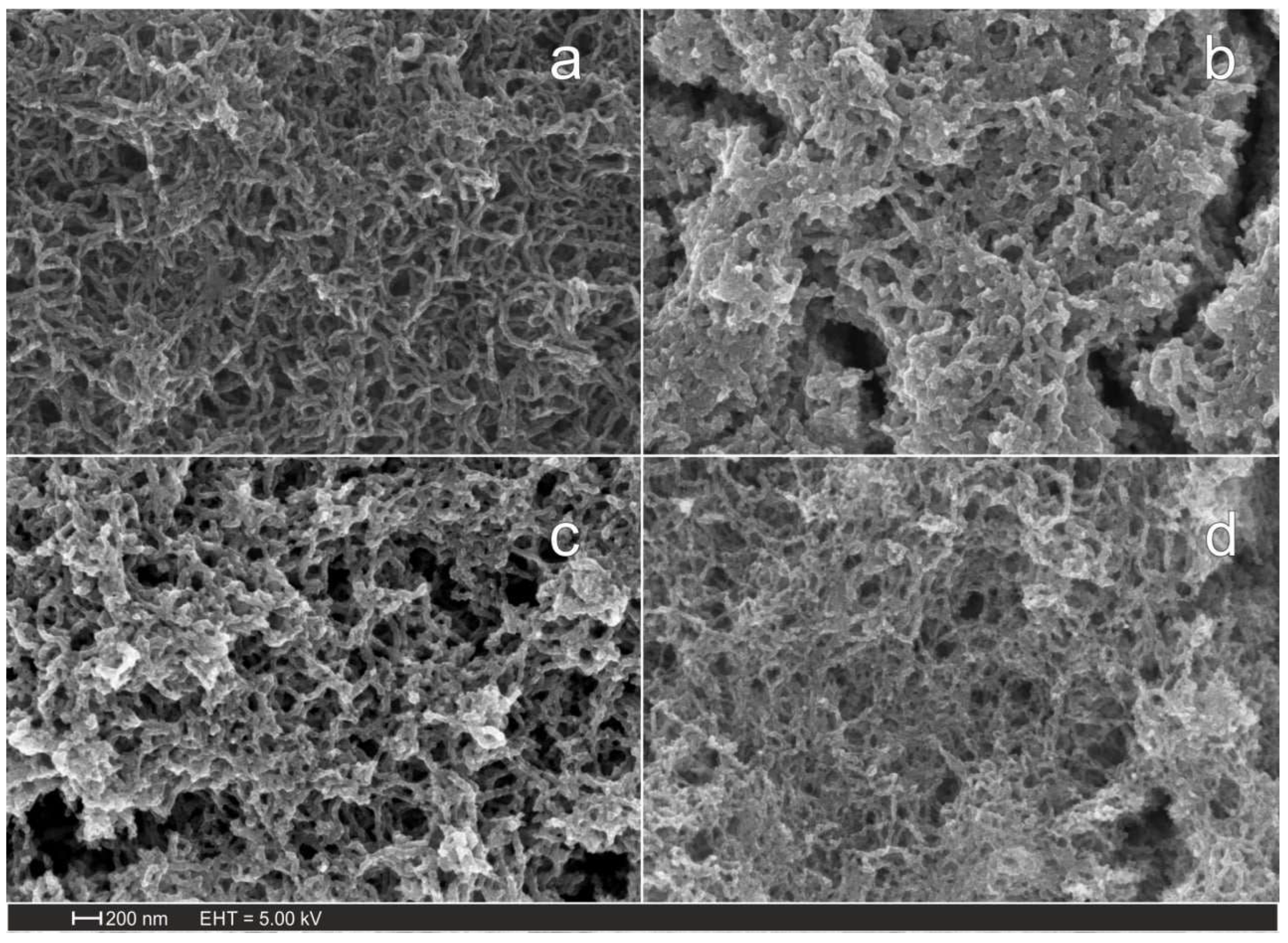 Preprints 169006 g001