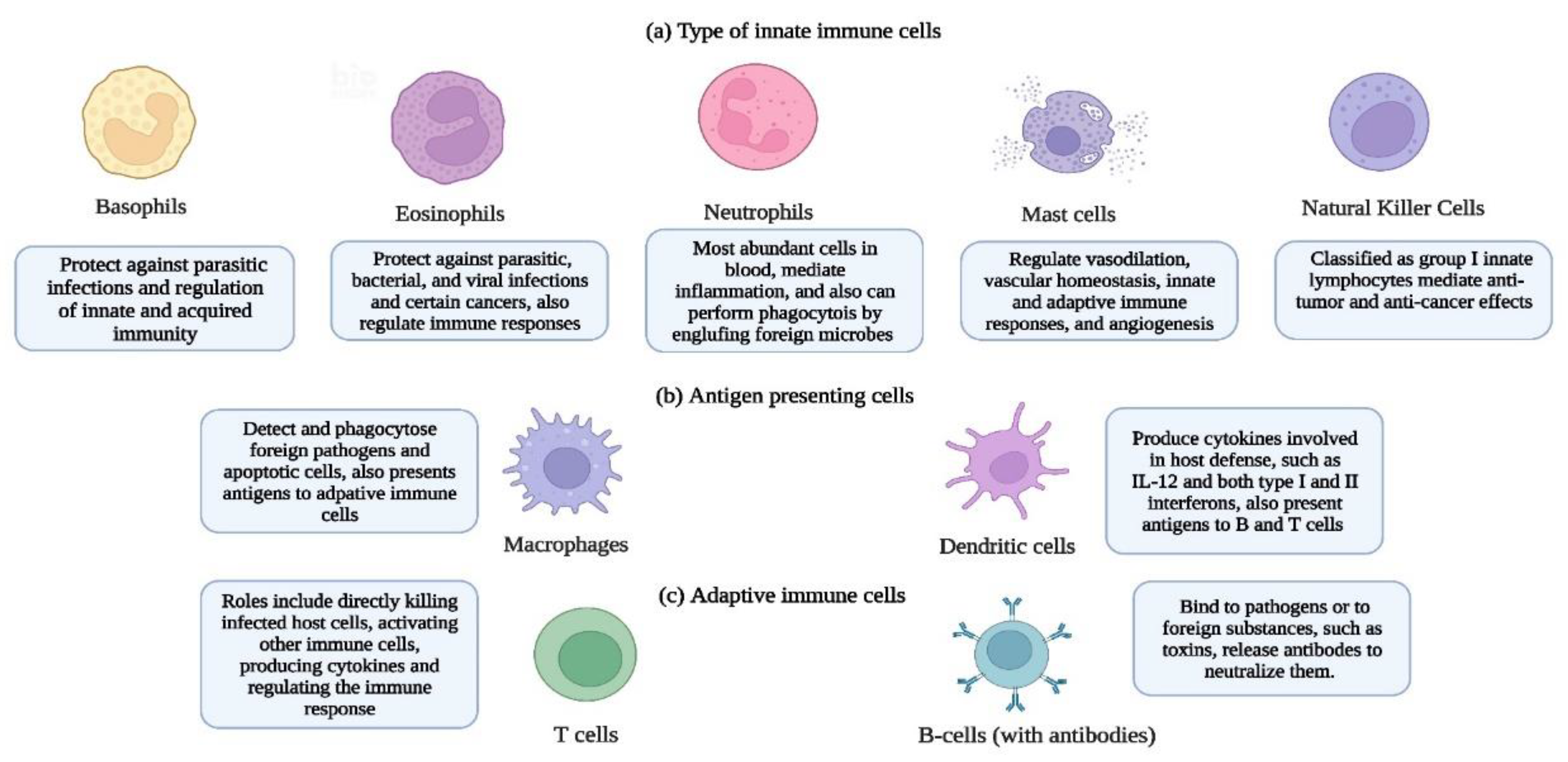 Preprints 69084 g002