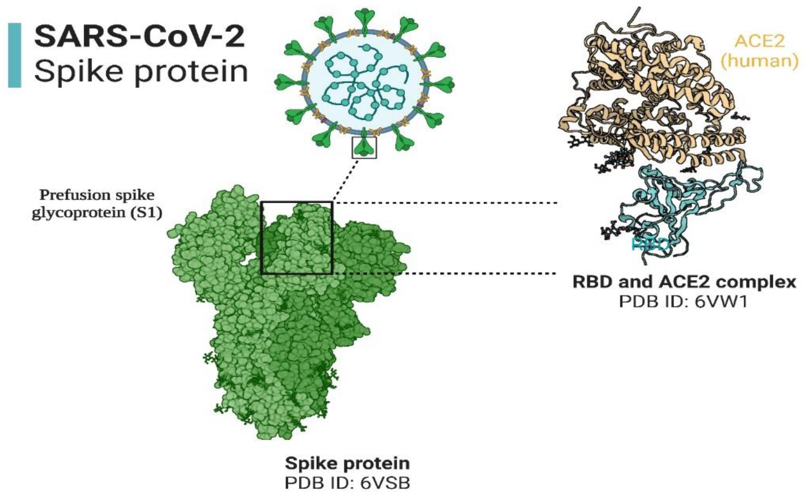 Preprints 69084 g003