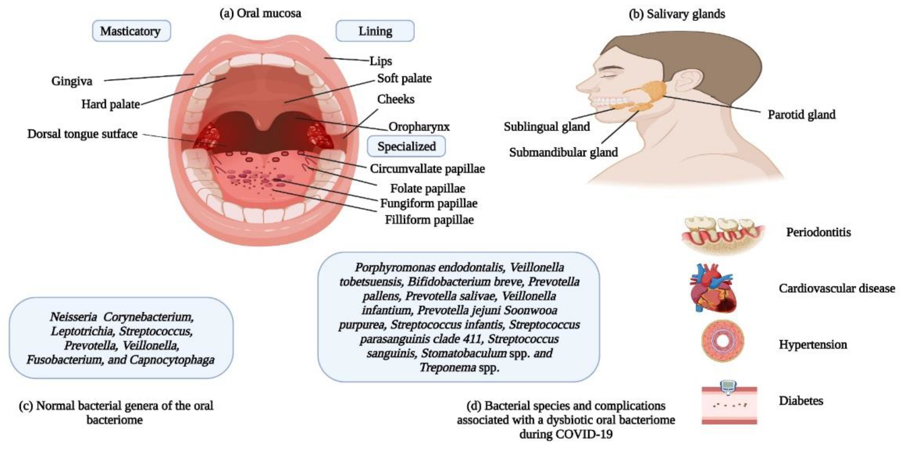 Preprints 69084 g004
