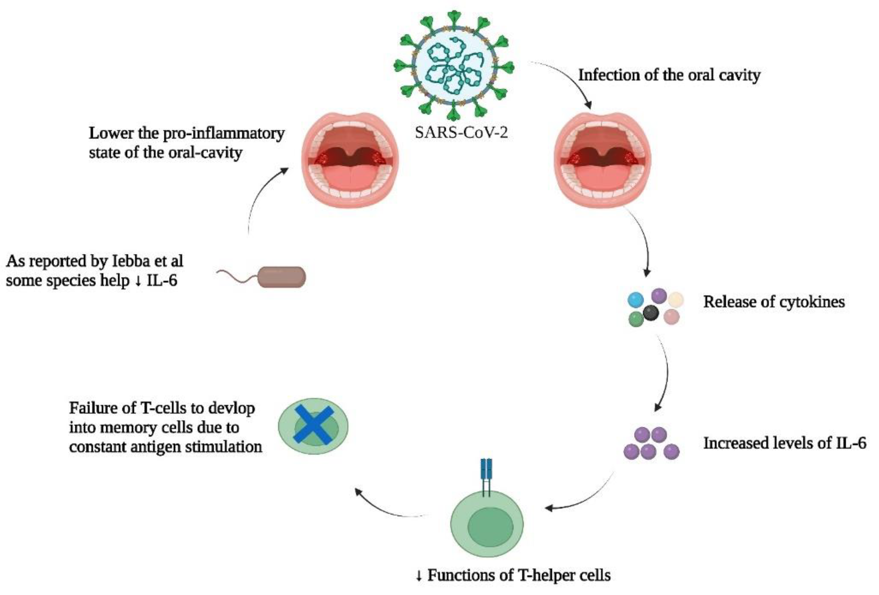 Preprints 69084 g005