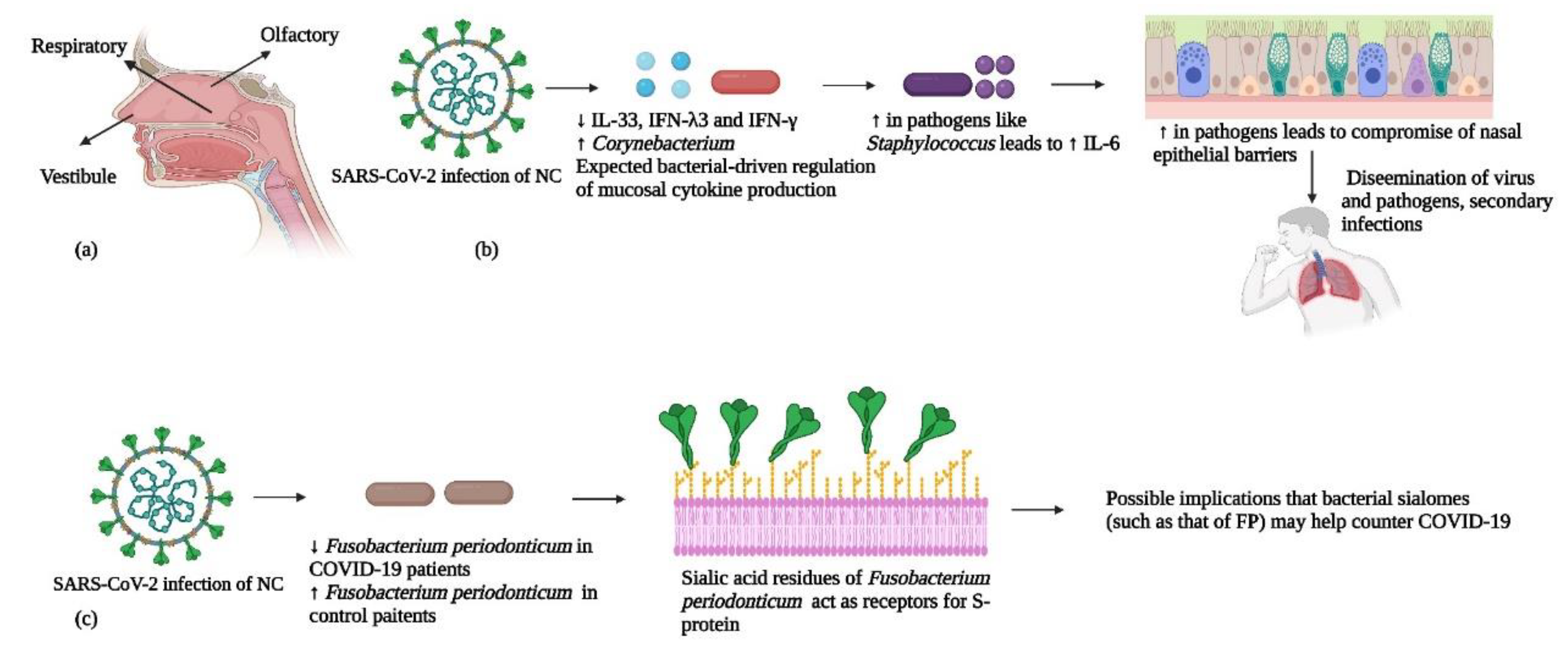 Preprints 69084 g006