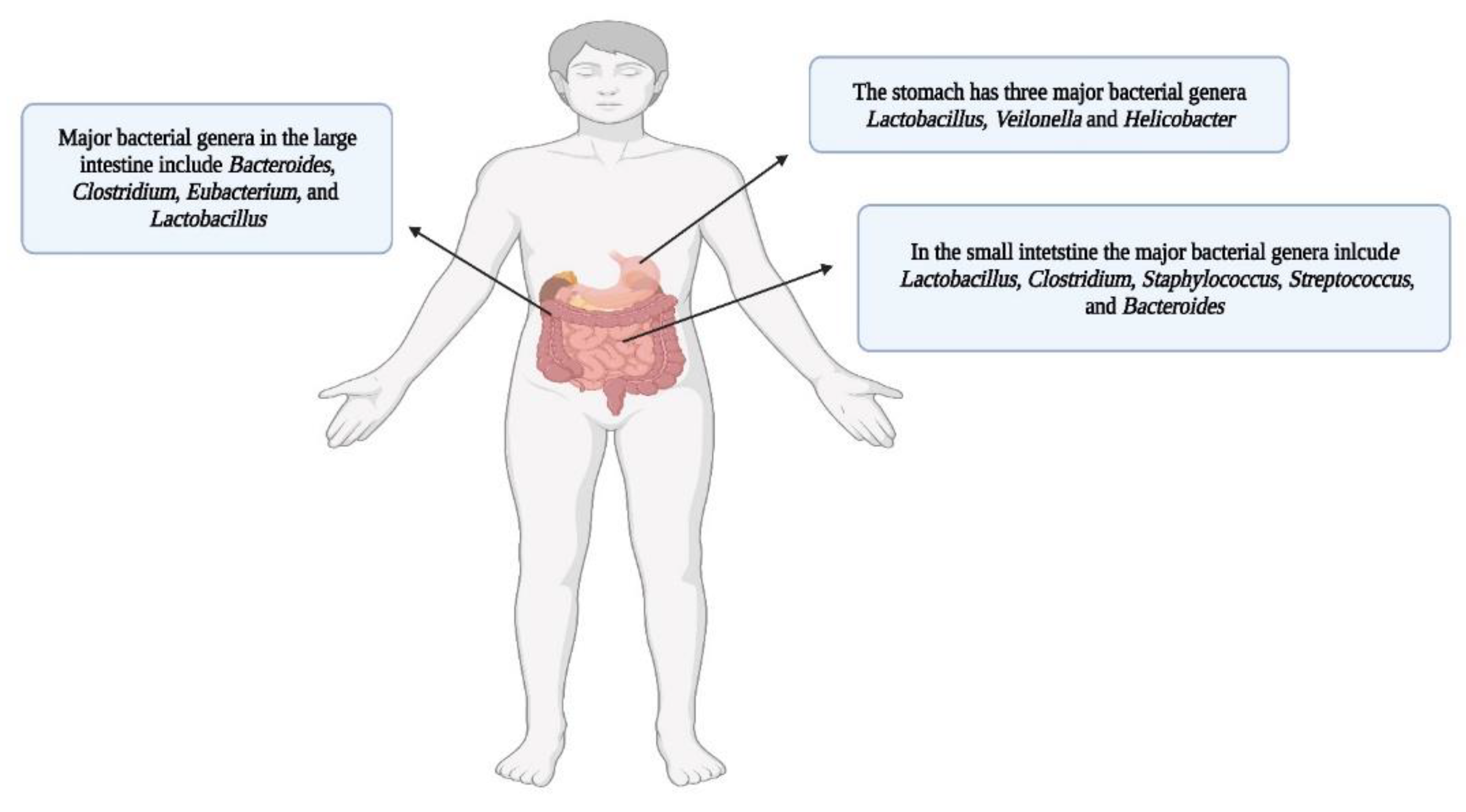 Preprints 69084 g008
