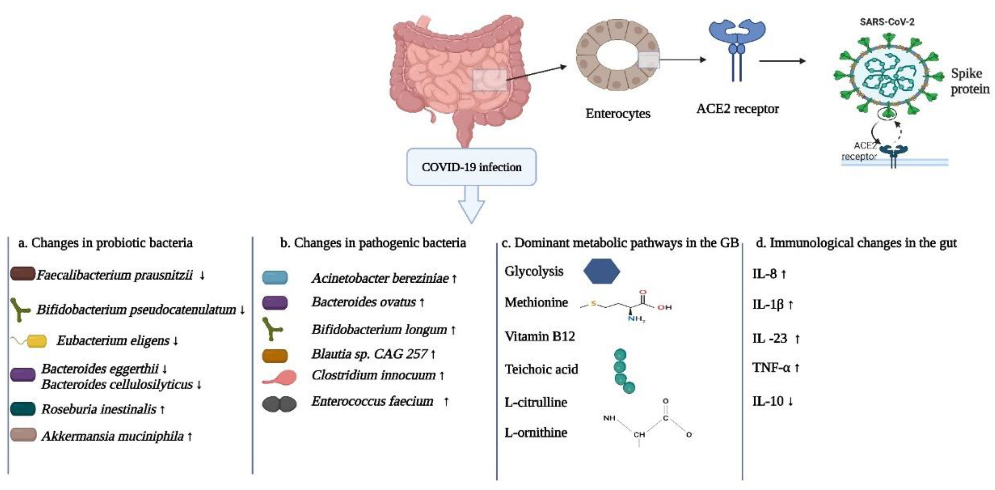 Preprints 69084 g009