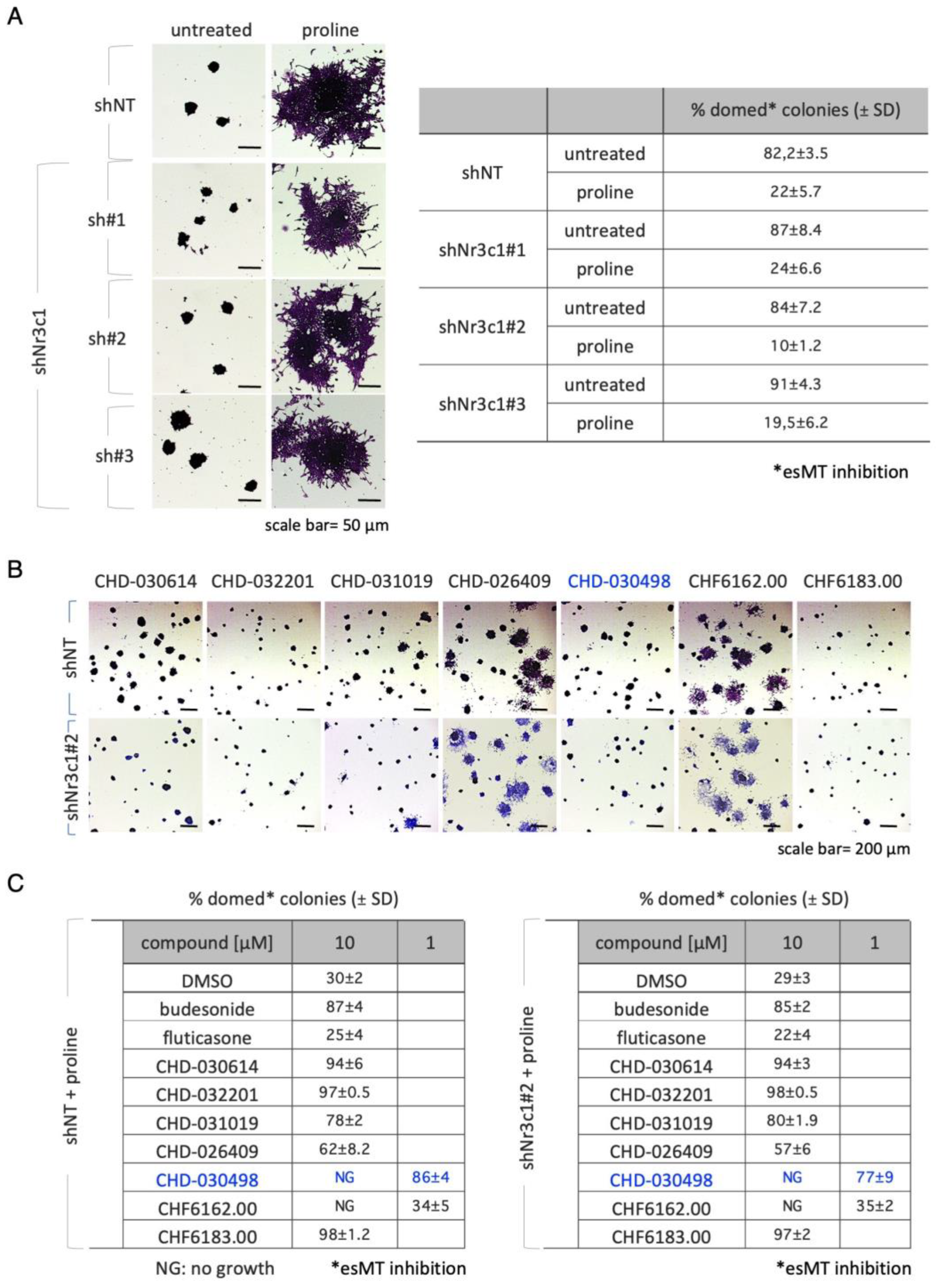Preprints 75145 g003