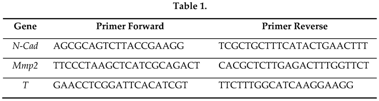 Preprints 75145 i001