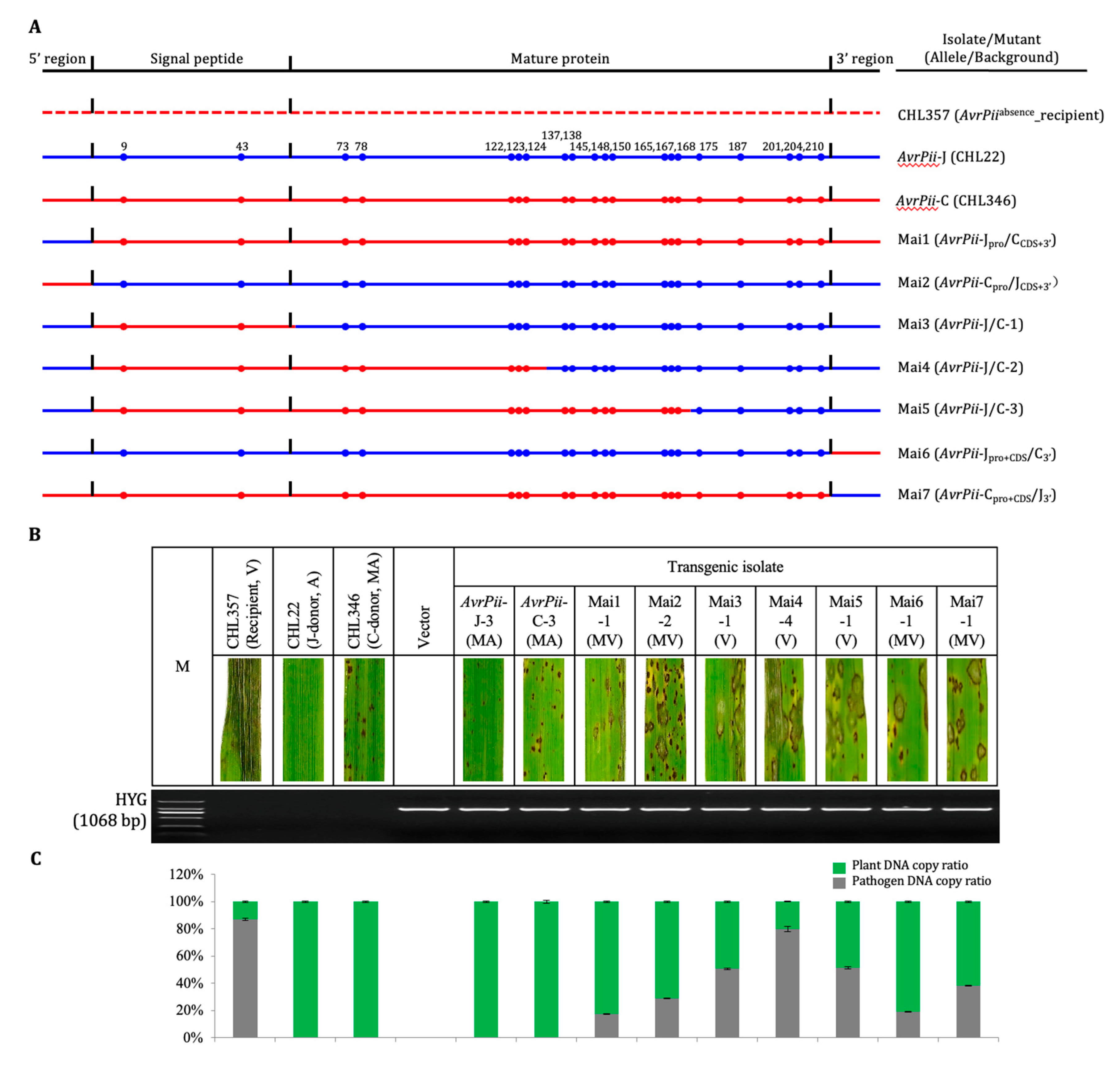 Preprints 71194 g002