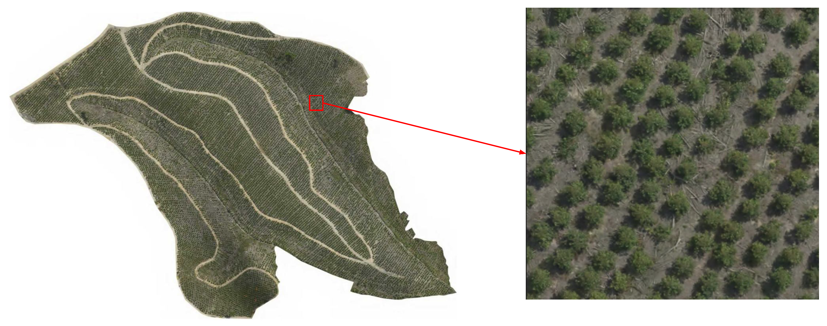 Preprints 191718 g001