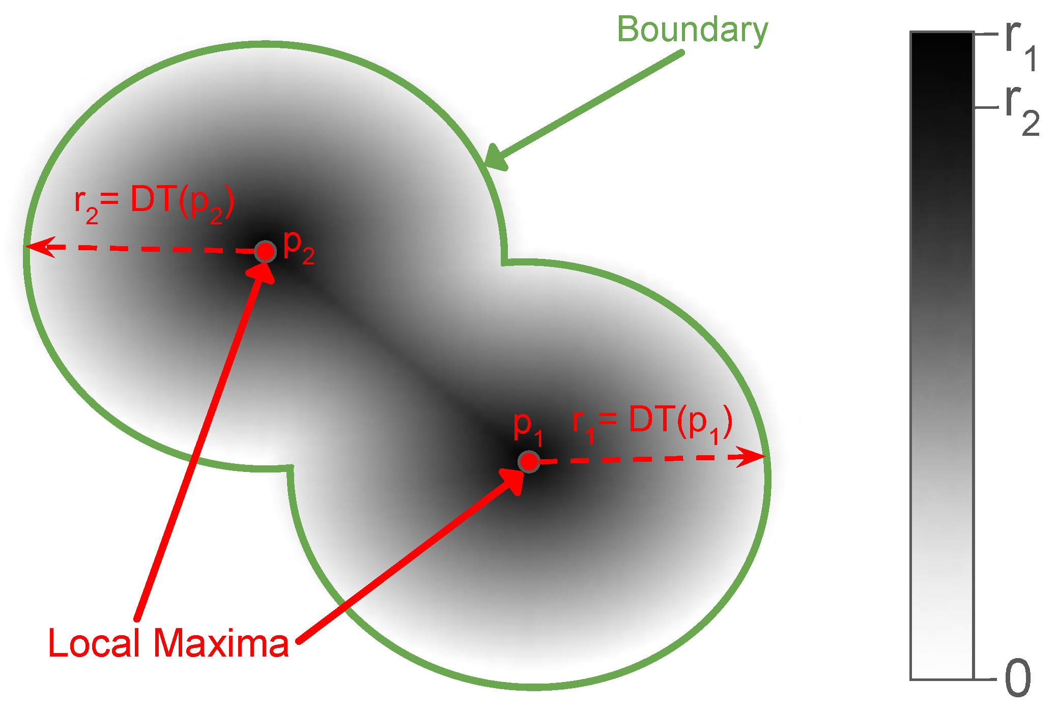 Preprints 191718 g003