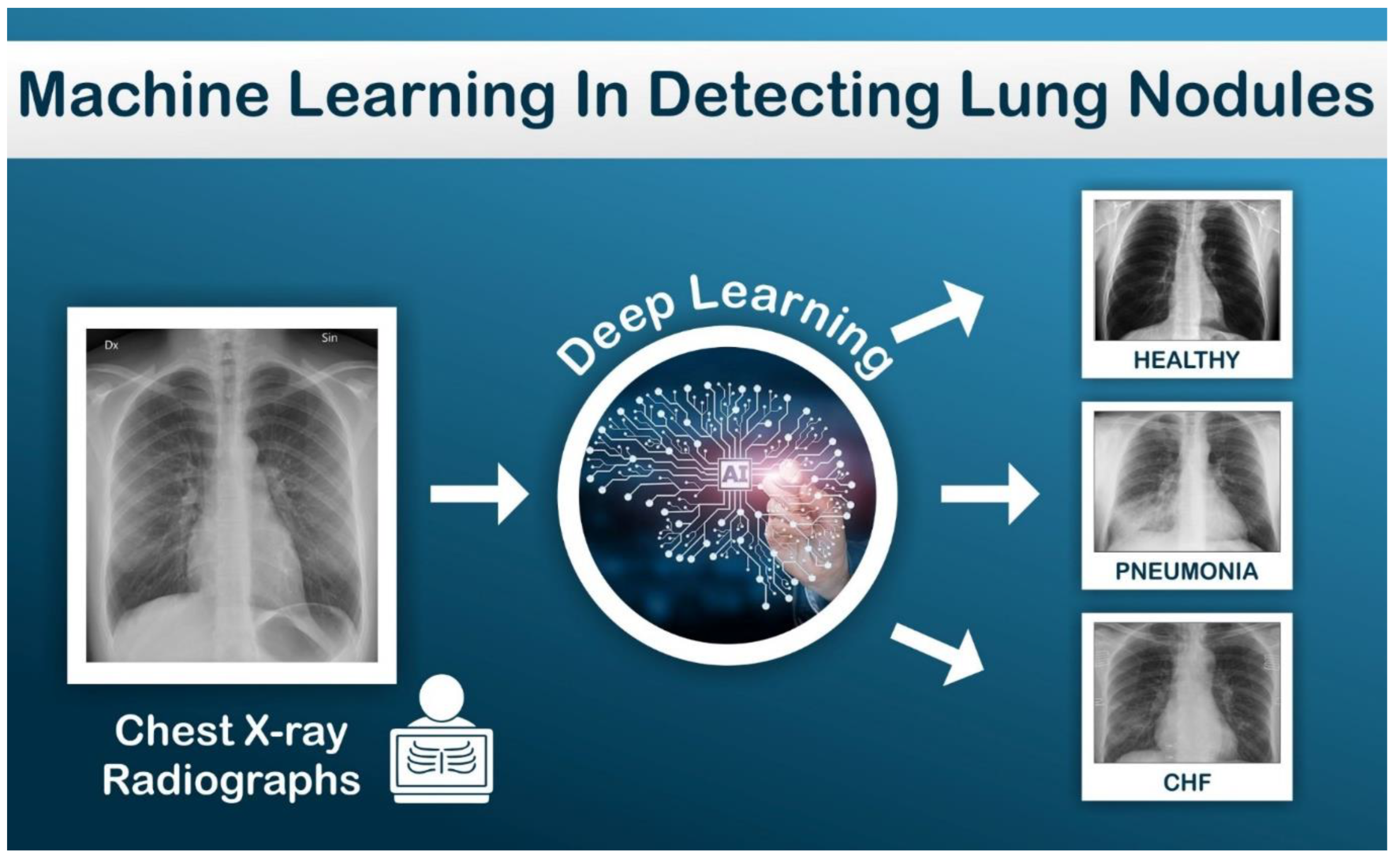 Preprints 144157 g003