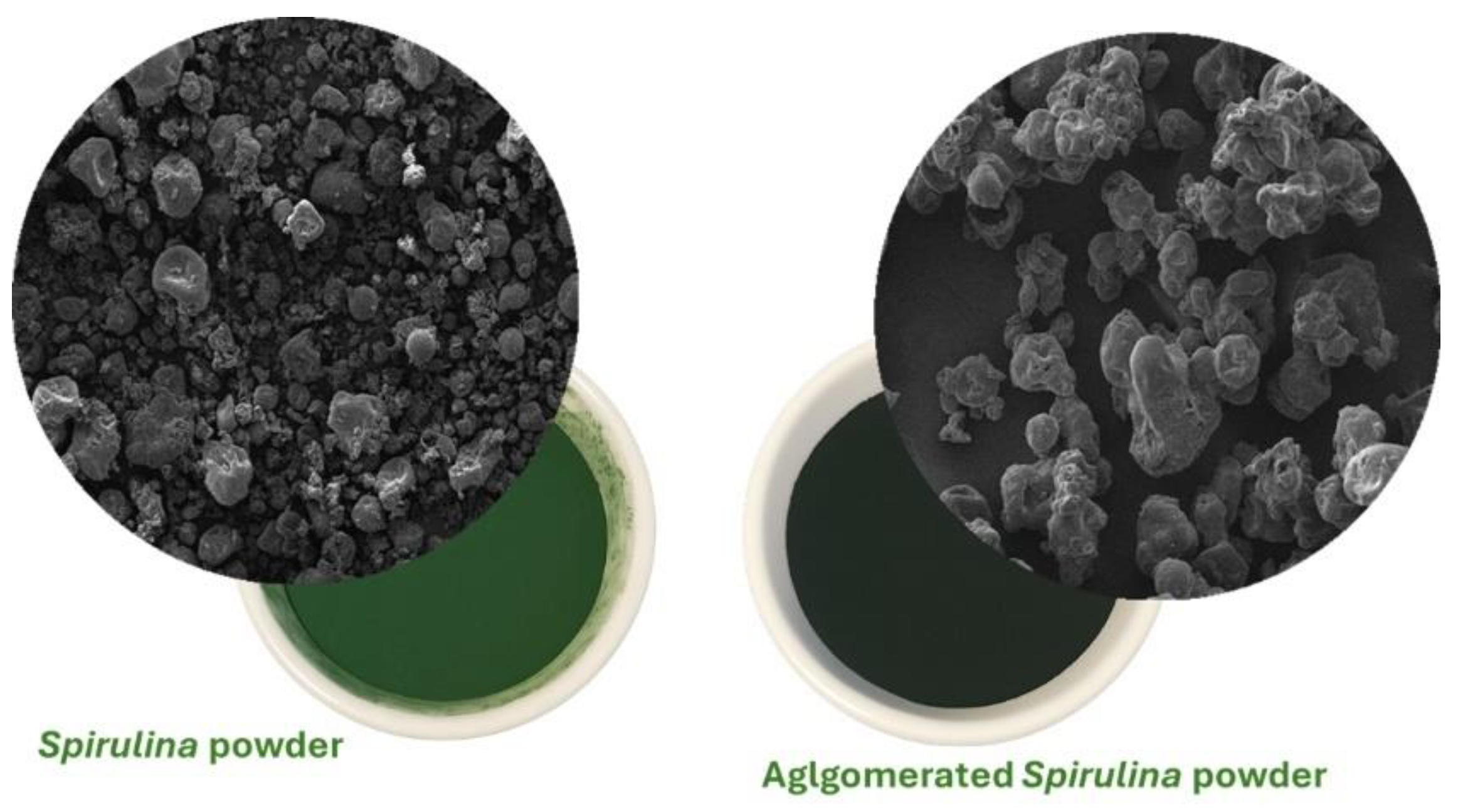 Preprints 160738 g001