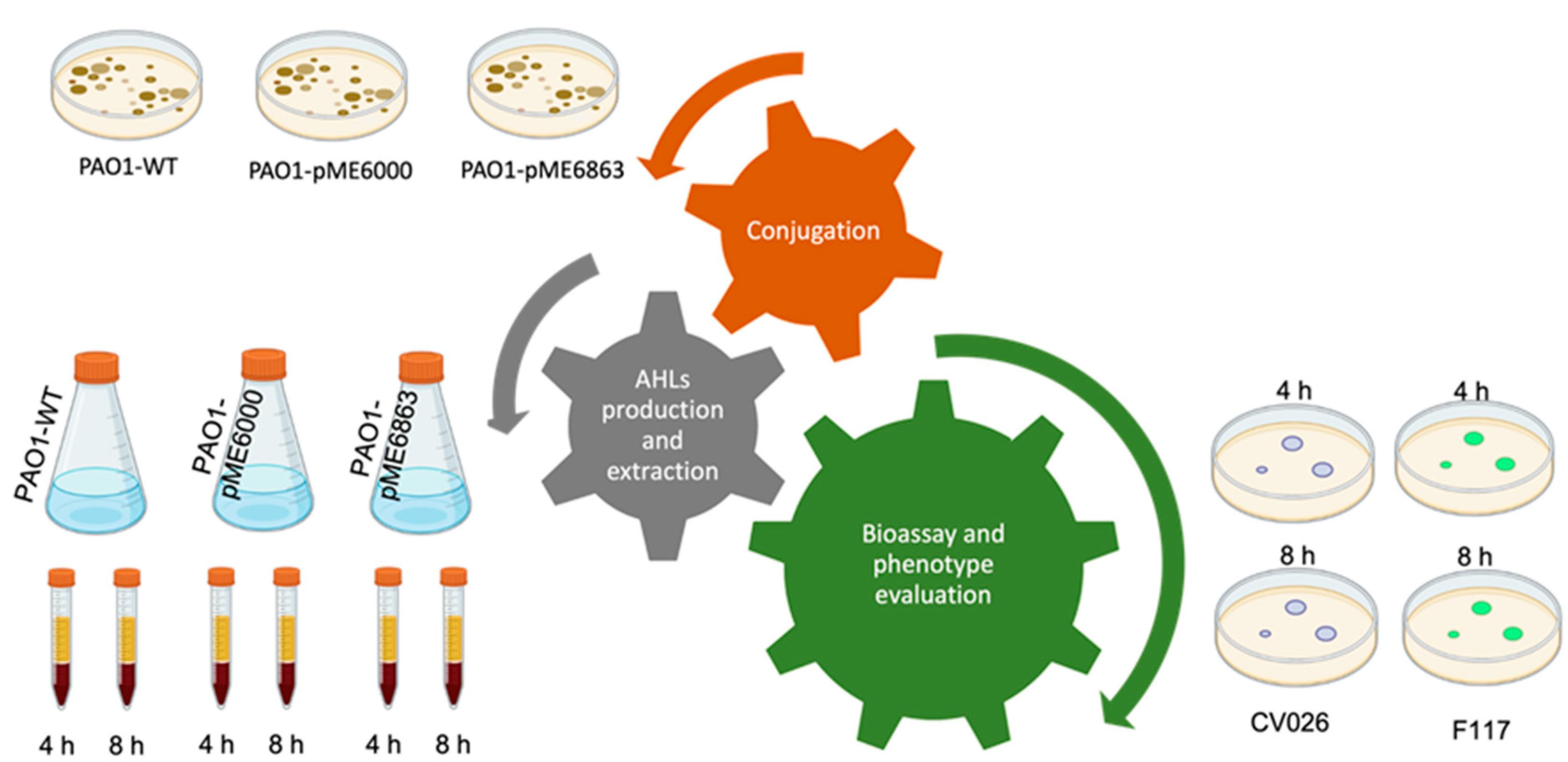 Preprints 73547 g001