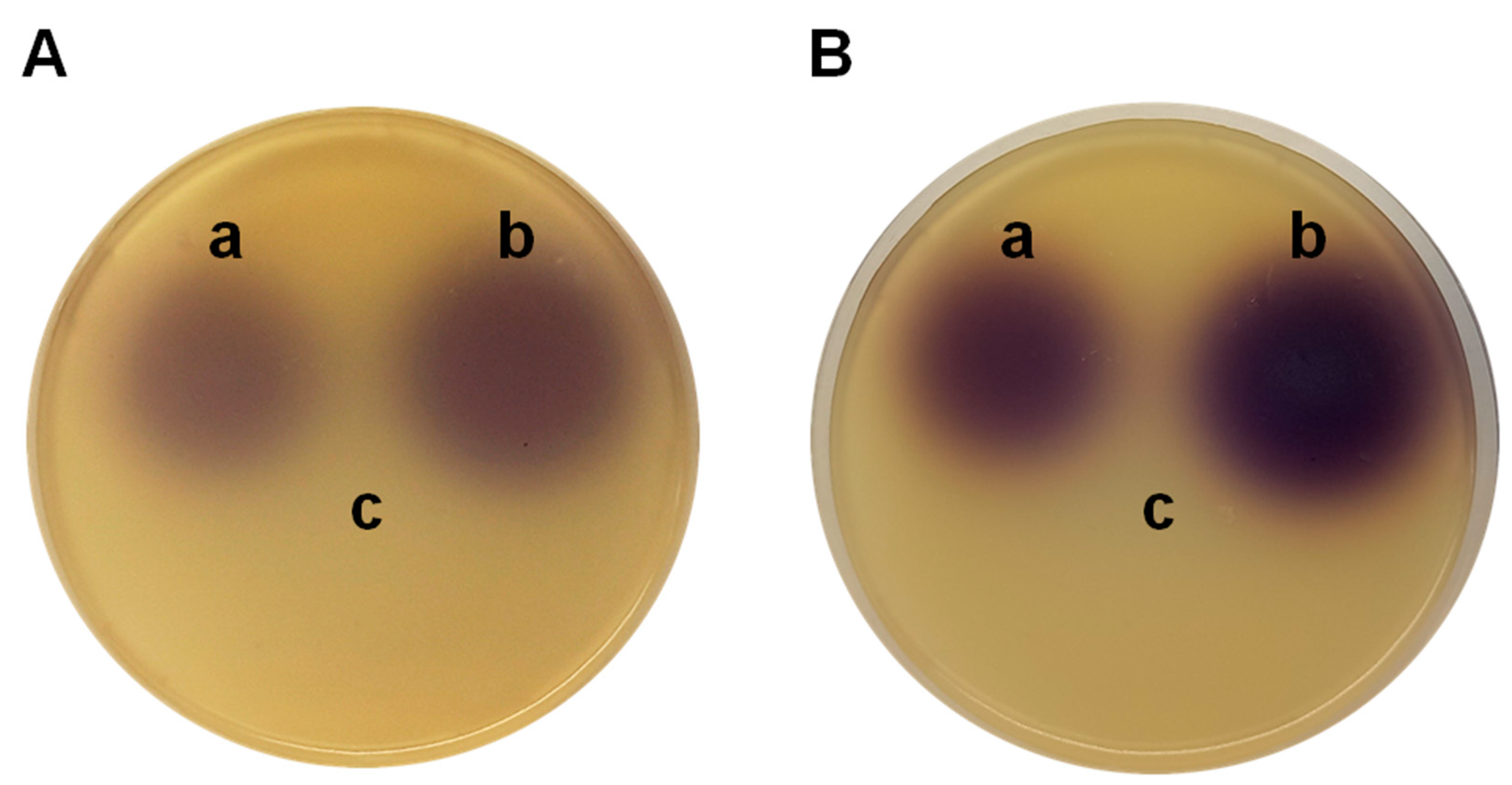 Preprints 73547 g002