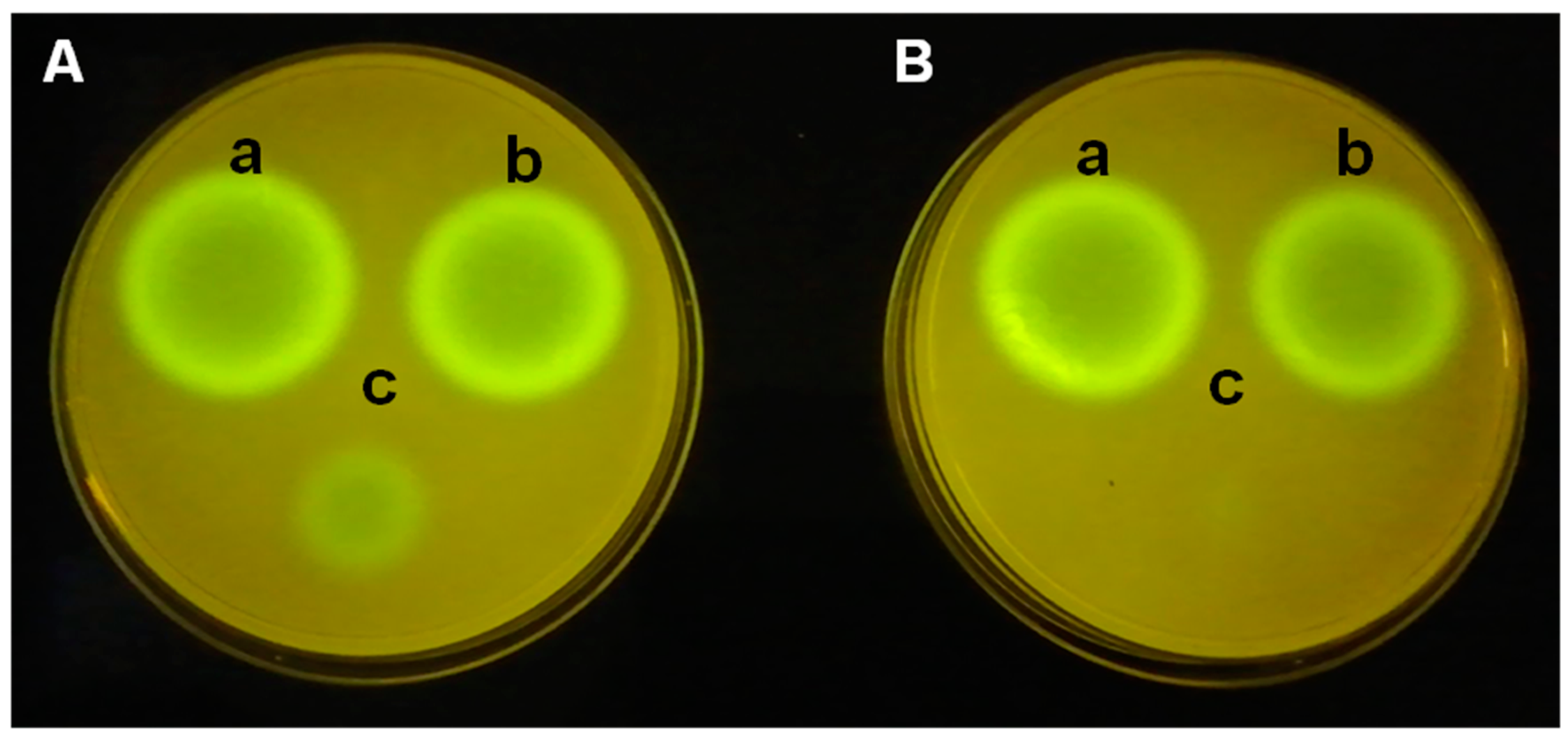 Preprints 73547 g003