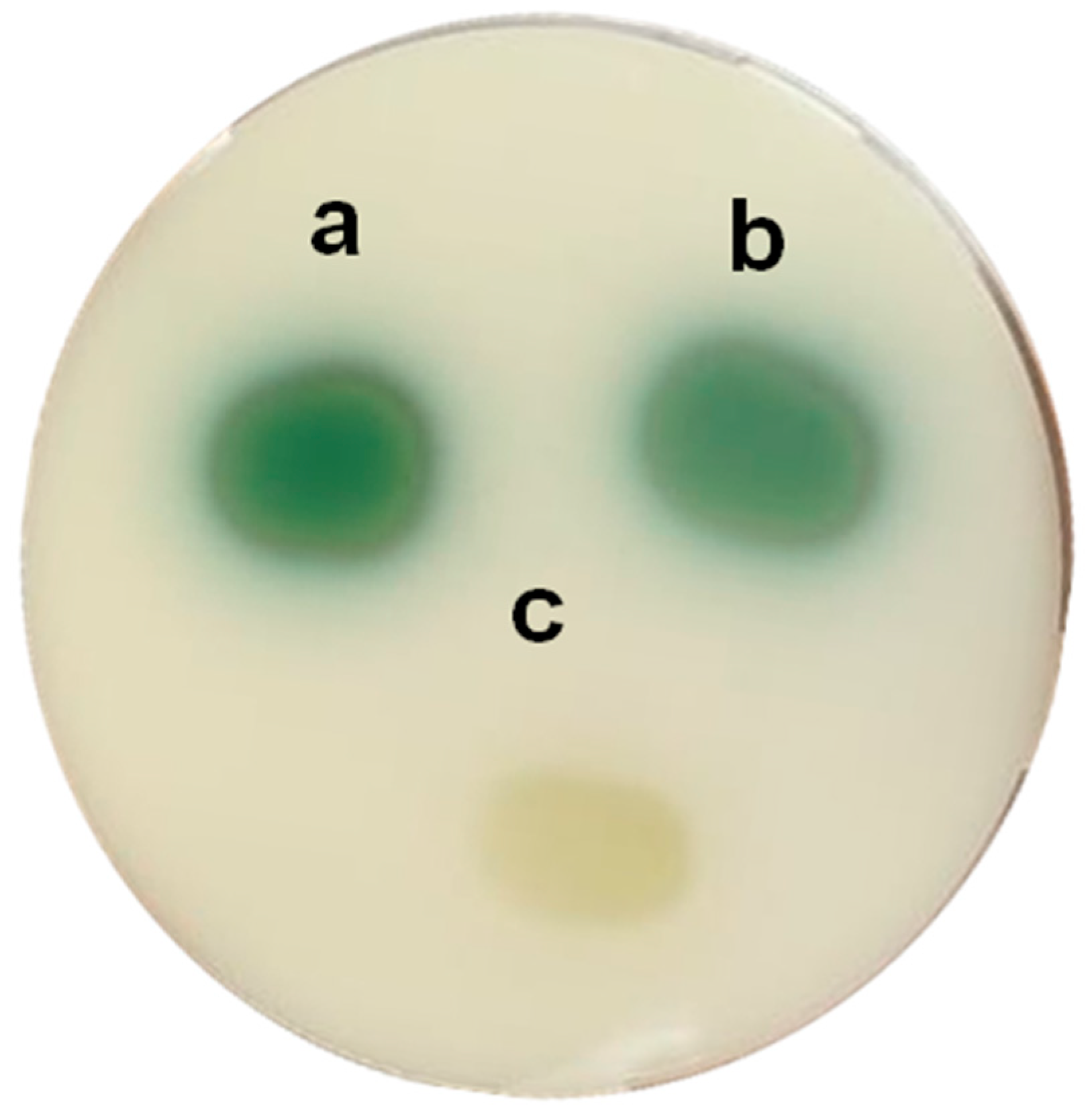 Preprints 73547 g004