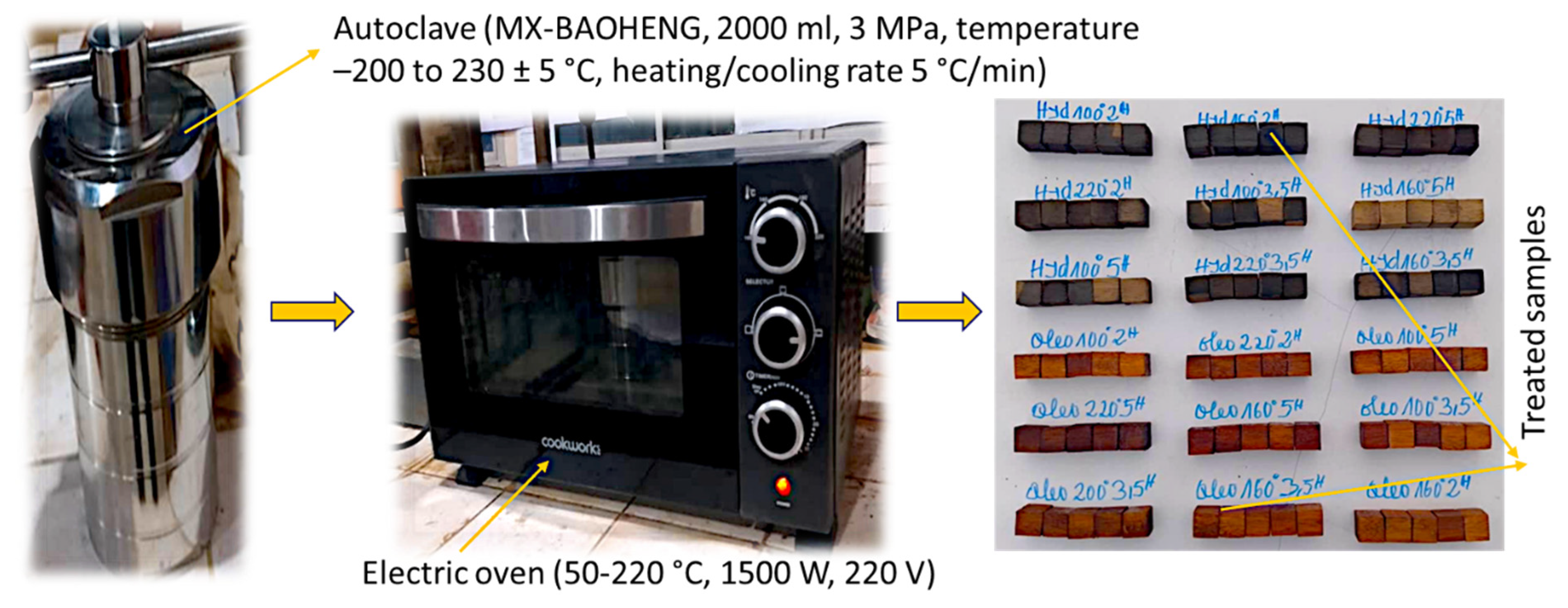 Preprints 188199 g001