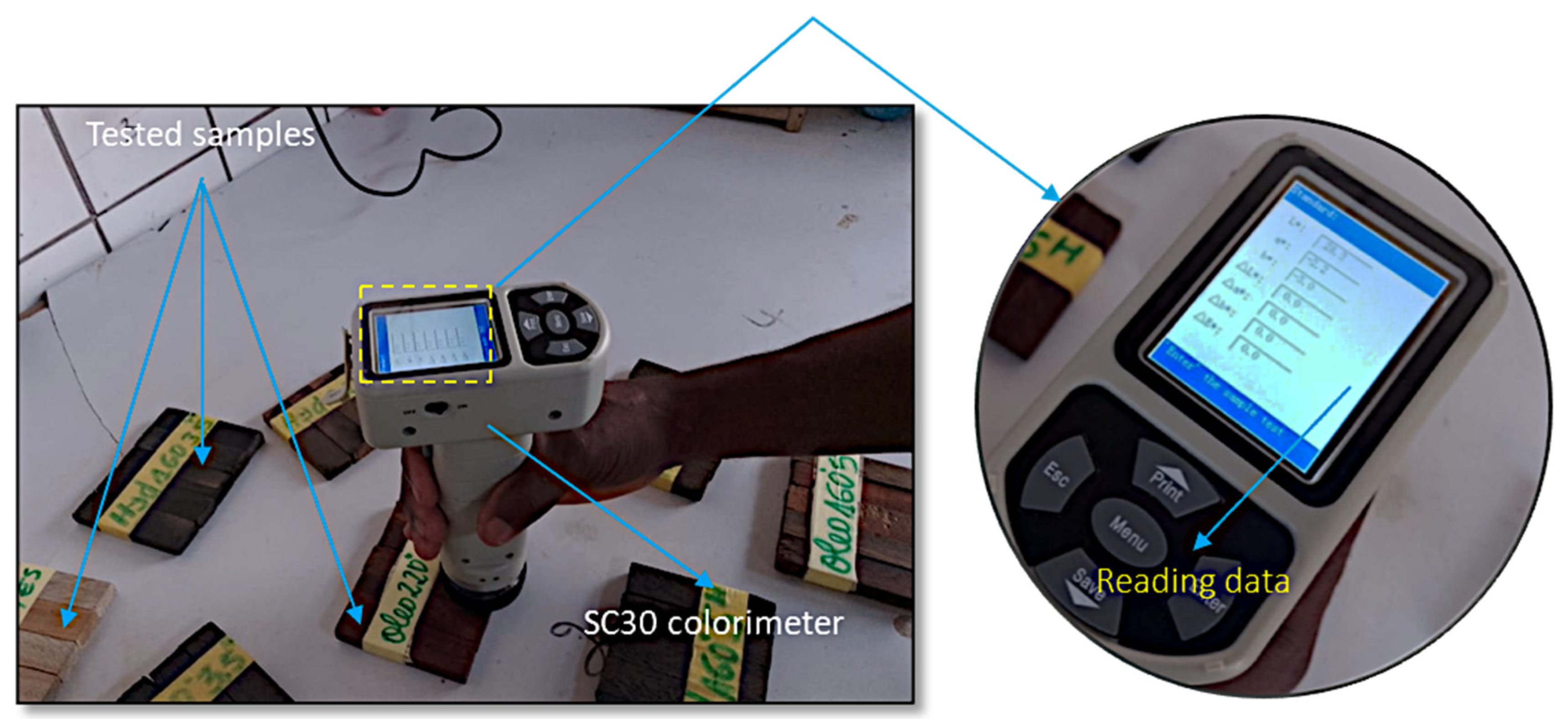 Preprints 188199 g002