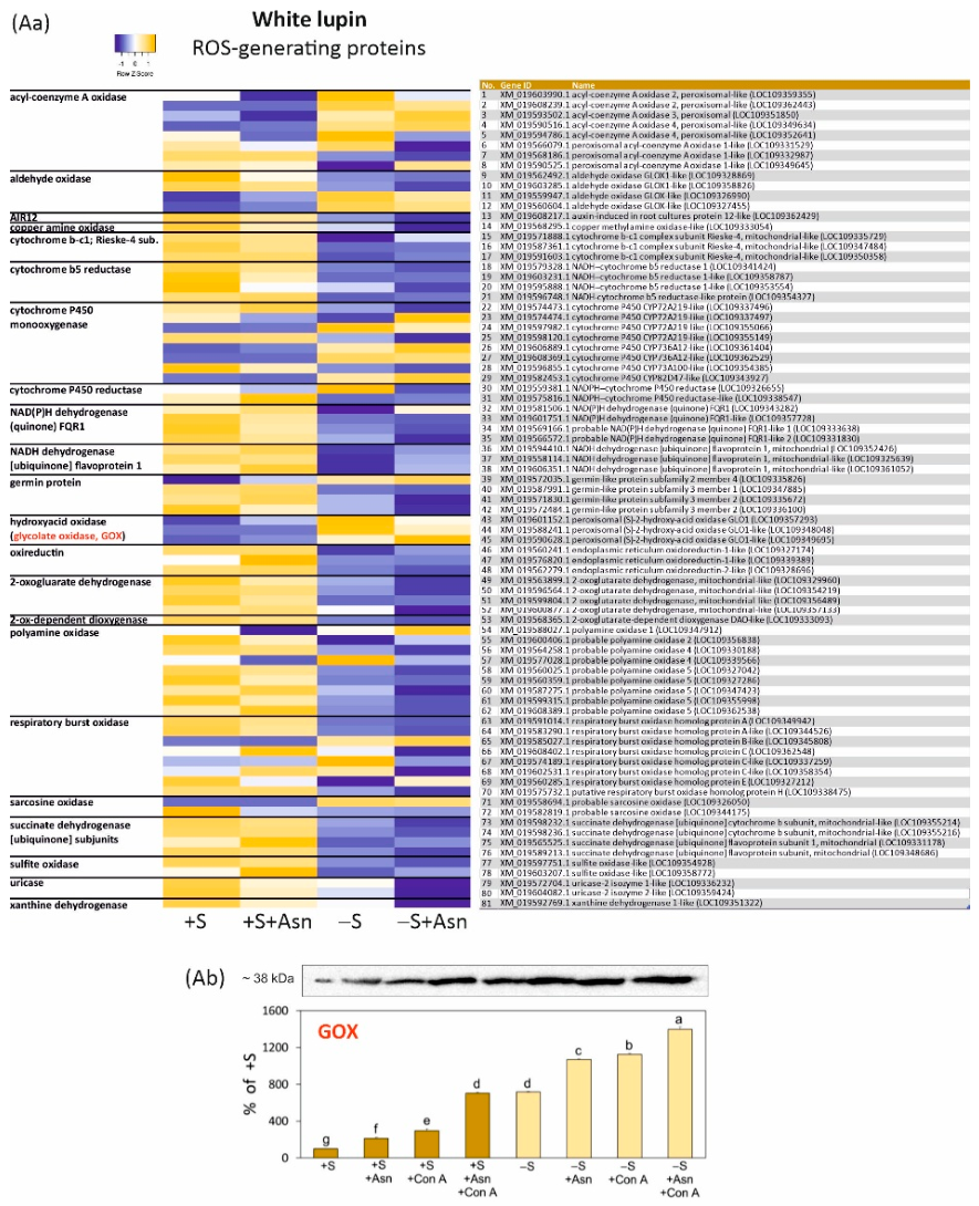 Preprints 222057 g001a Preprints 222057 g001a
