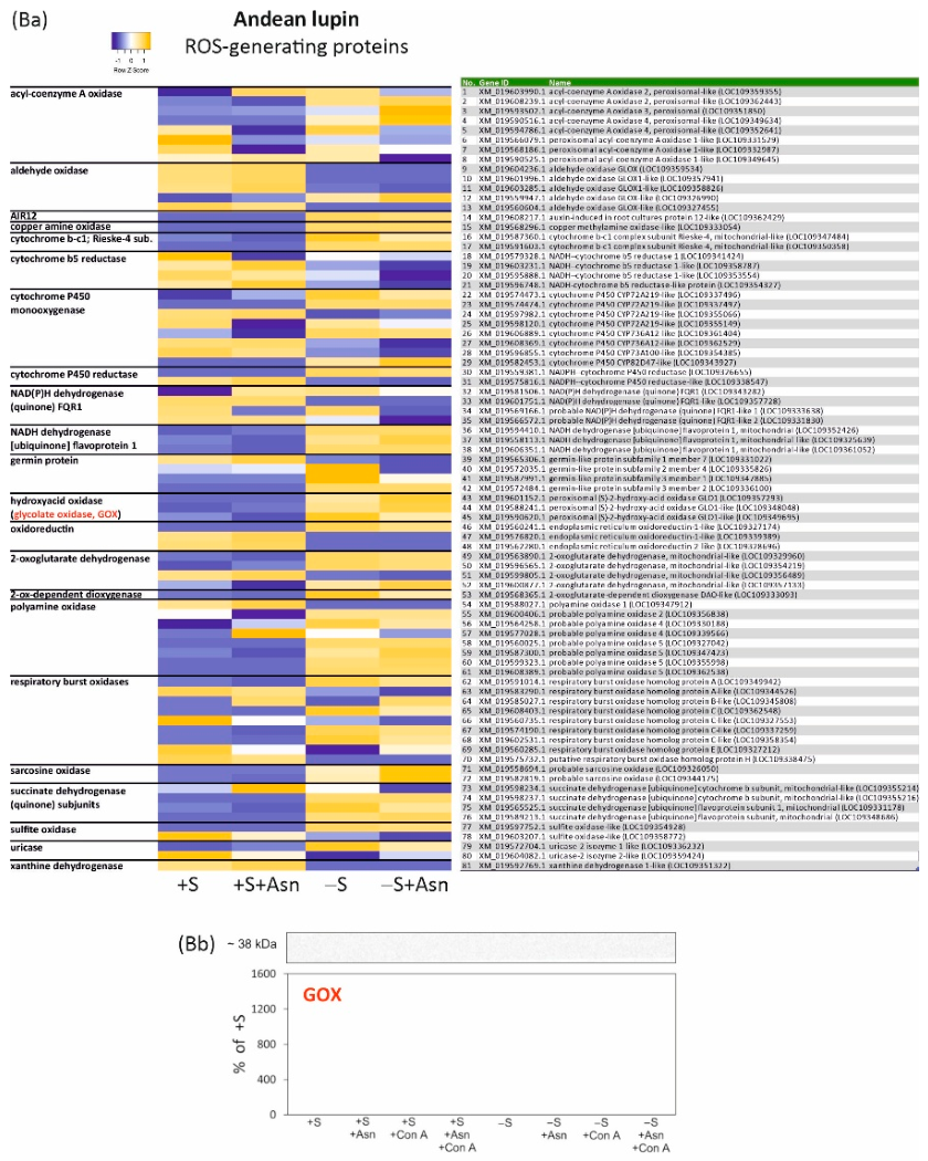 Preprints 222057 g001b