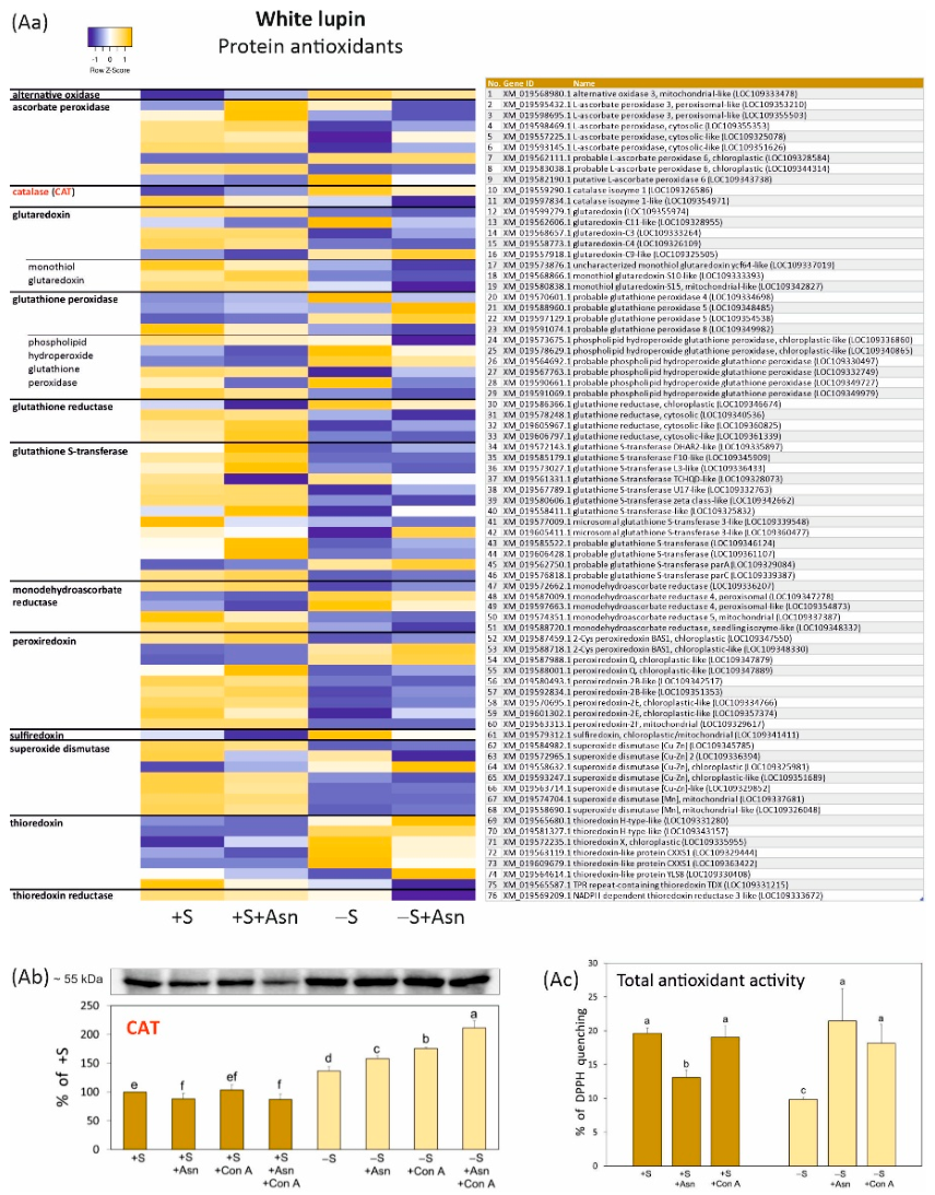 Preprints 222057 g002a Preprints 222057 g002a
