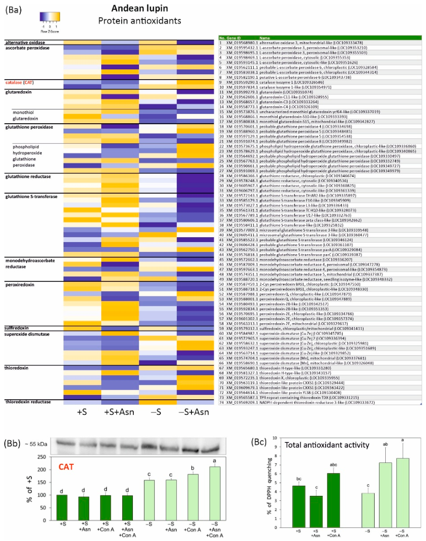Preprints 222057 g002b