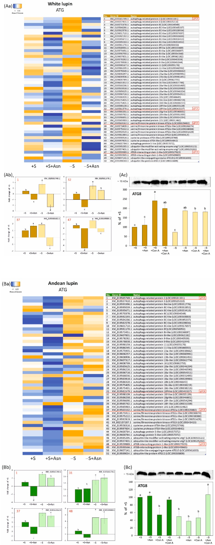 Preprints 222057 g003 Preprints 222057 g003