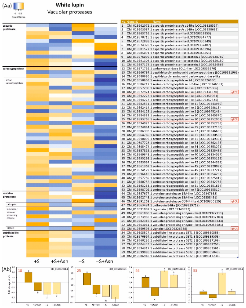 Preprints 222057 g005a Preprints 222057 g005a