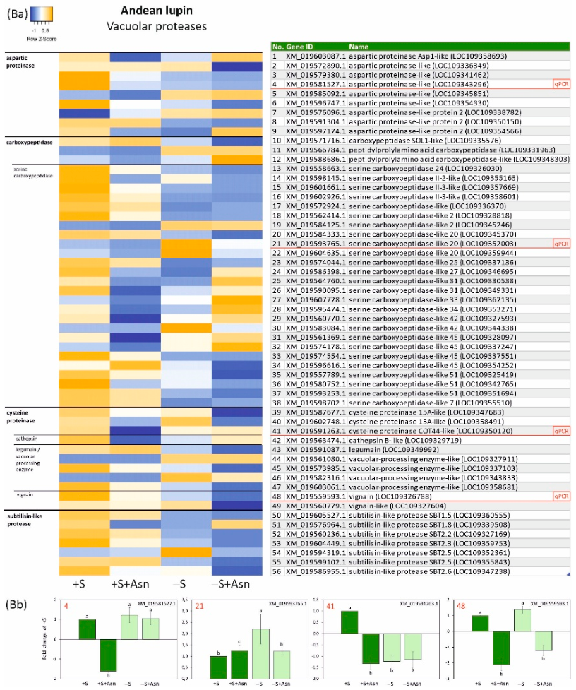 Preprints 222057 g005b