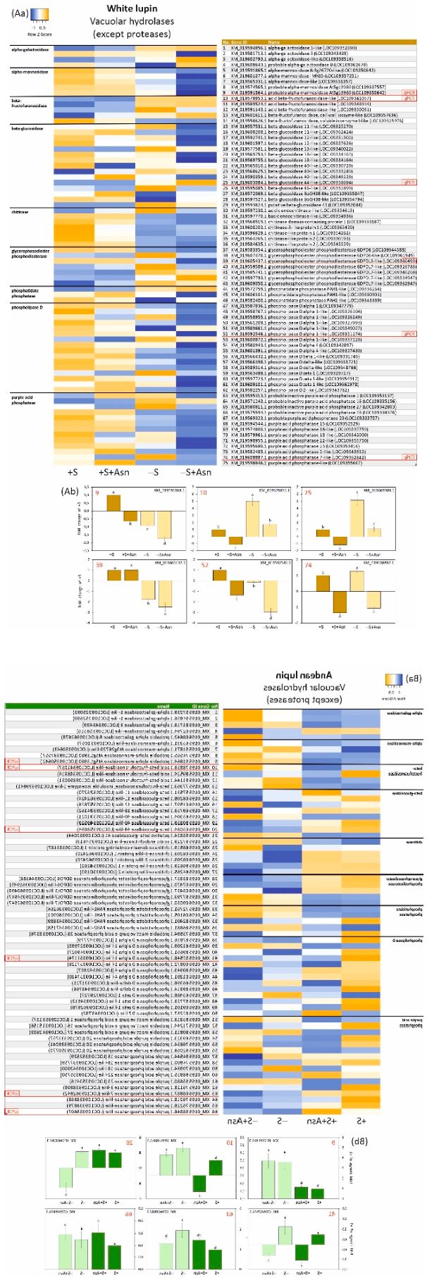 Preprints 222057 g006 Preprints 222057 g006