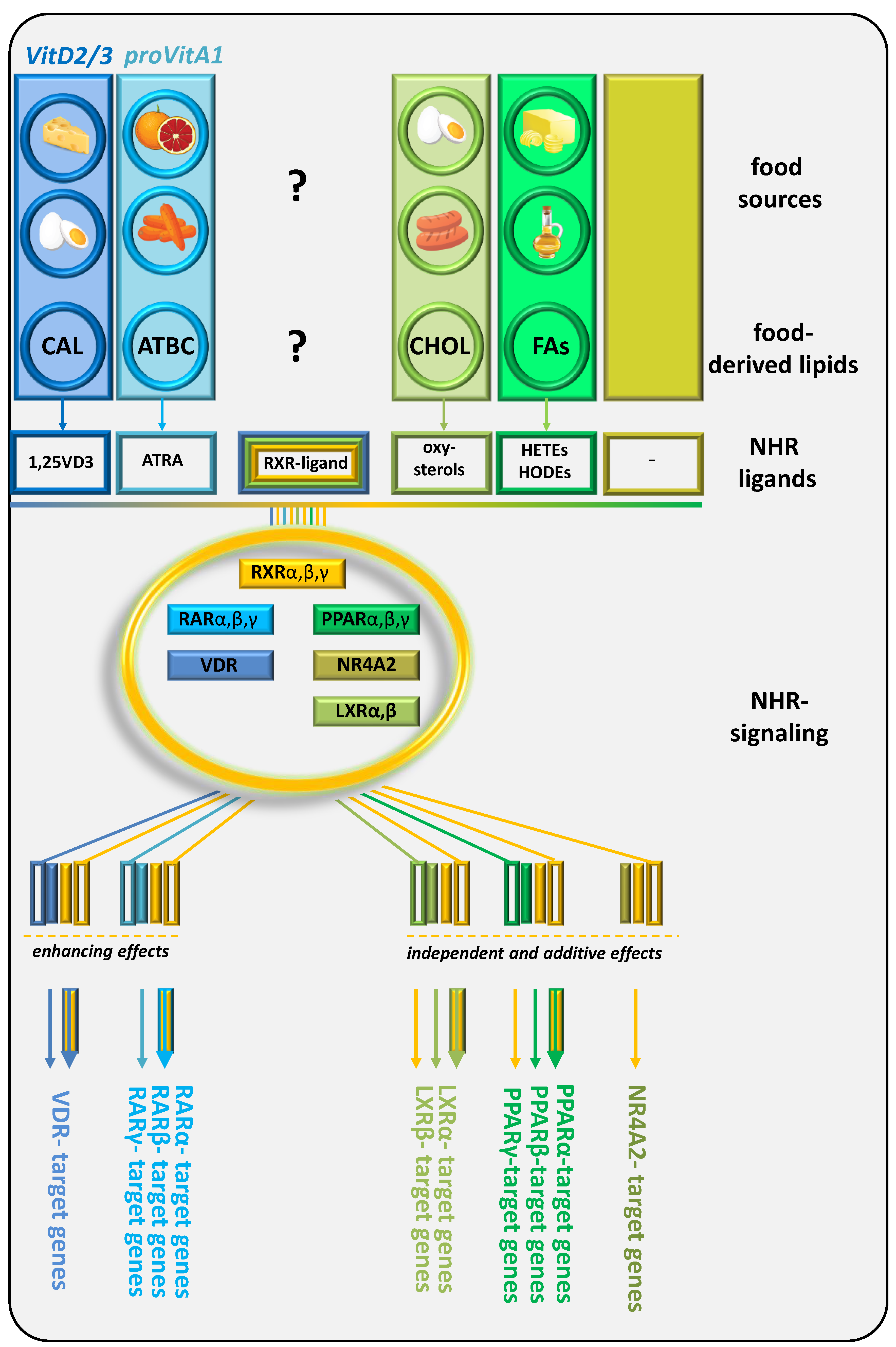 Preprints 141580 g004