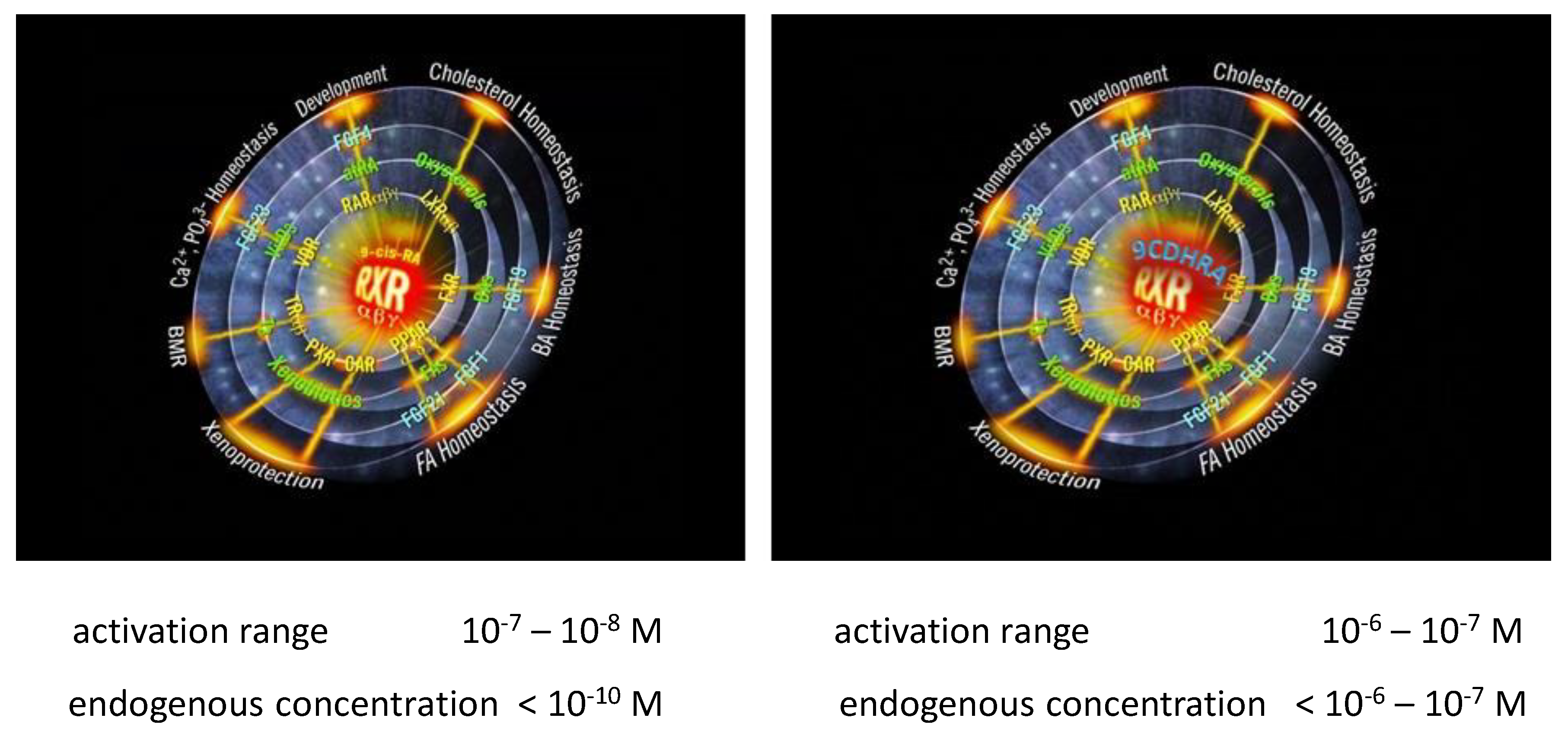 Preprints 141580 g005