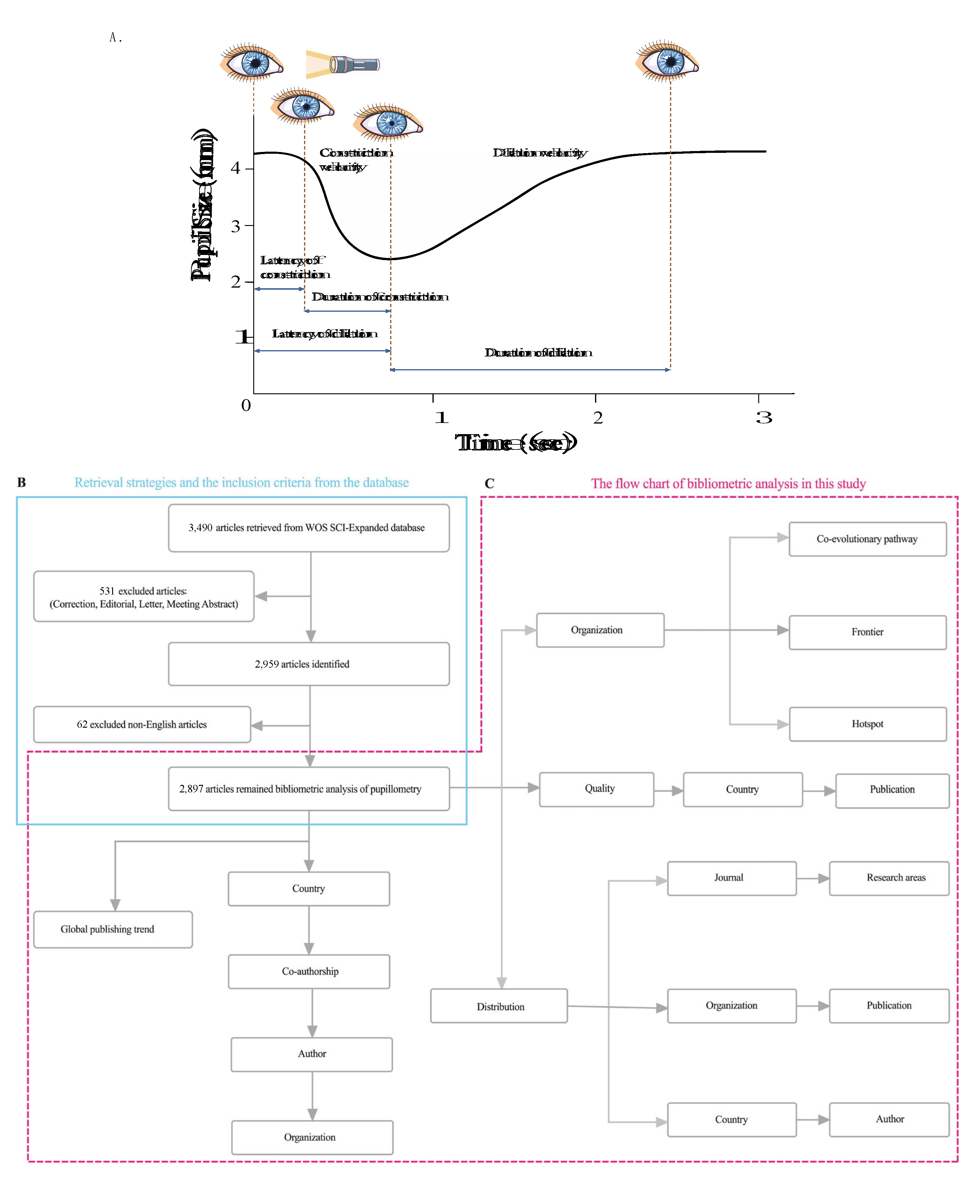 Preprints 200237 g001