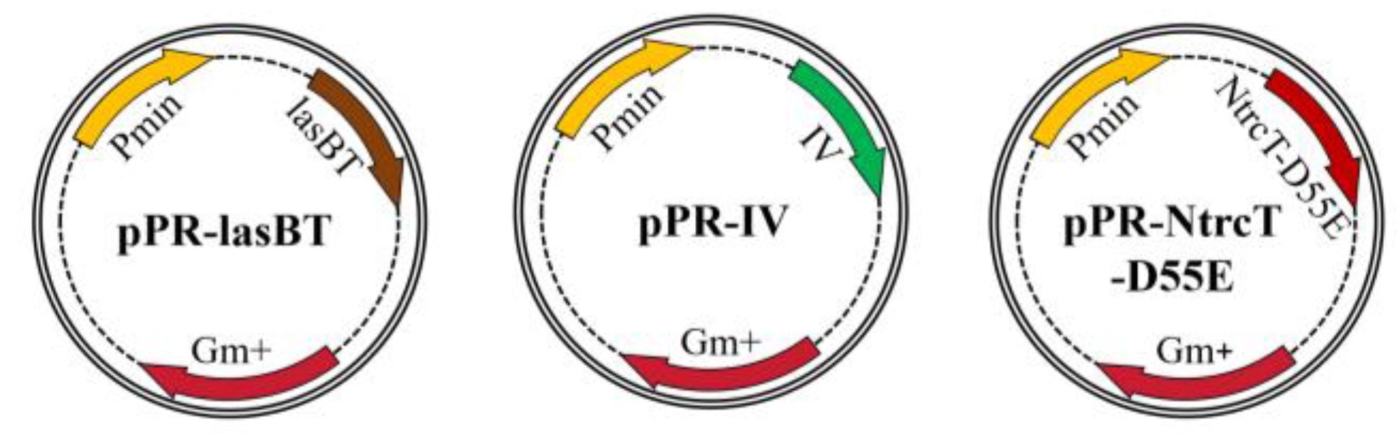 Preprints 150889 g008